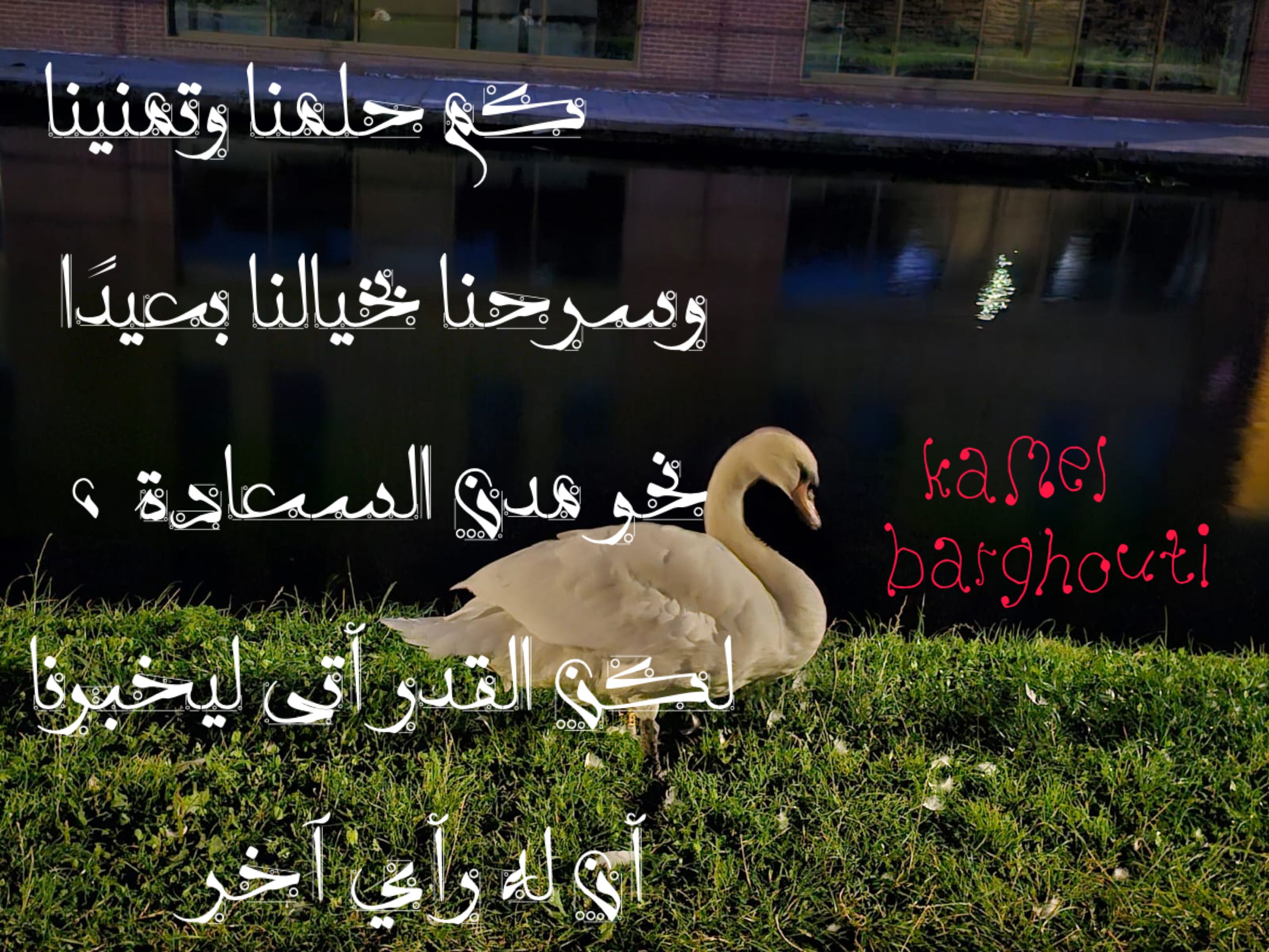 تفاؤل, أمل, وسعادة – اقتباس 269