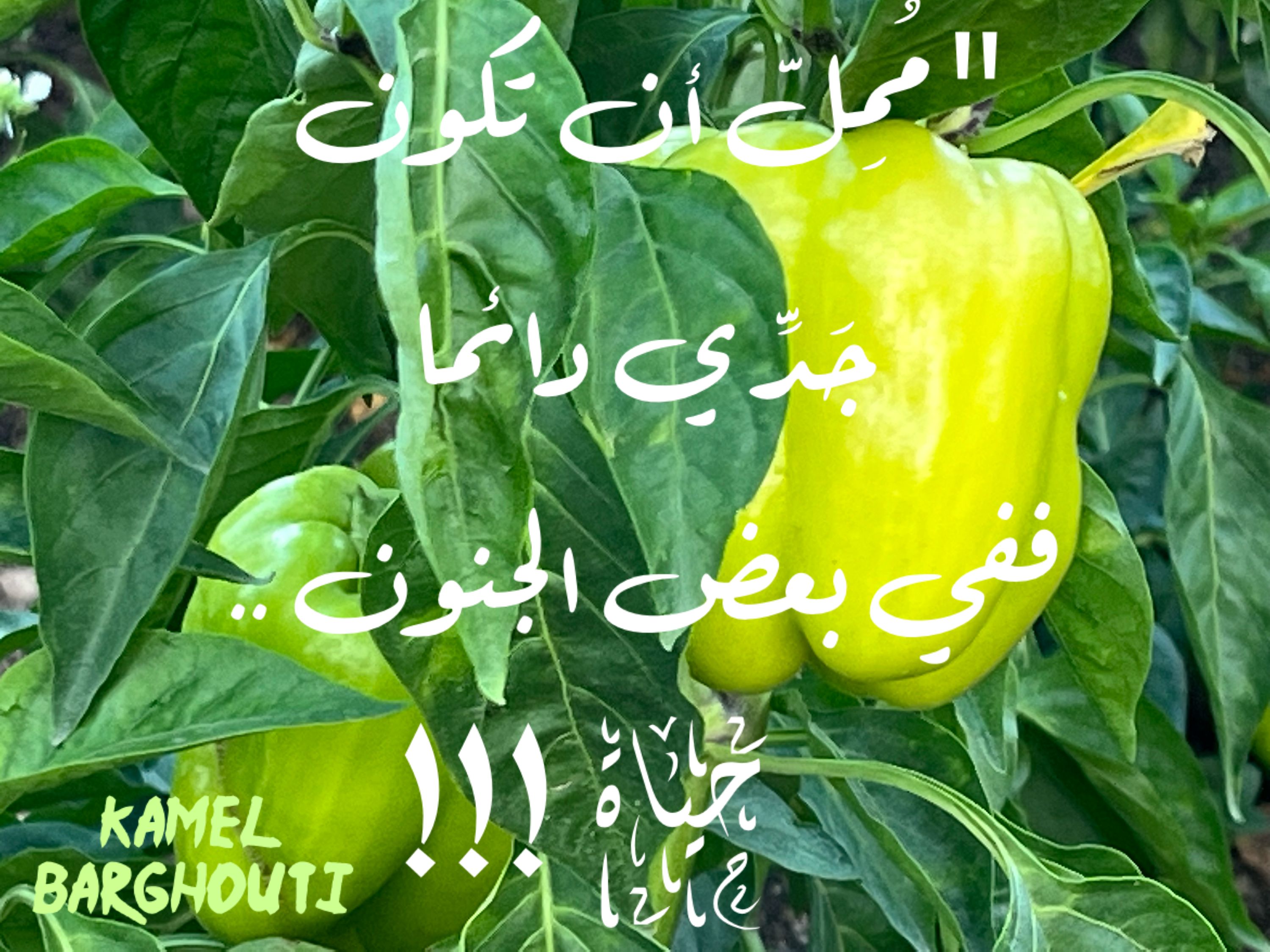 تفاؤل, أمل, وسعادة – اقتباس 266
