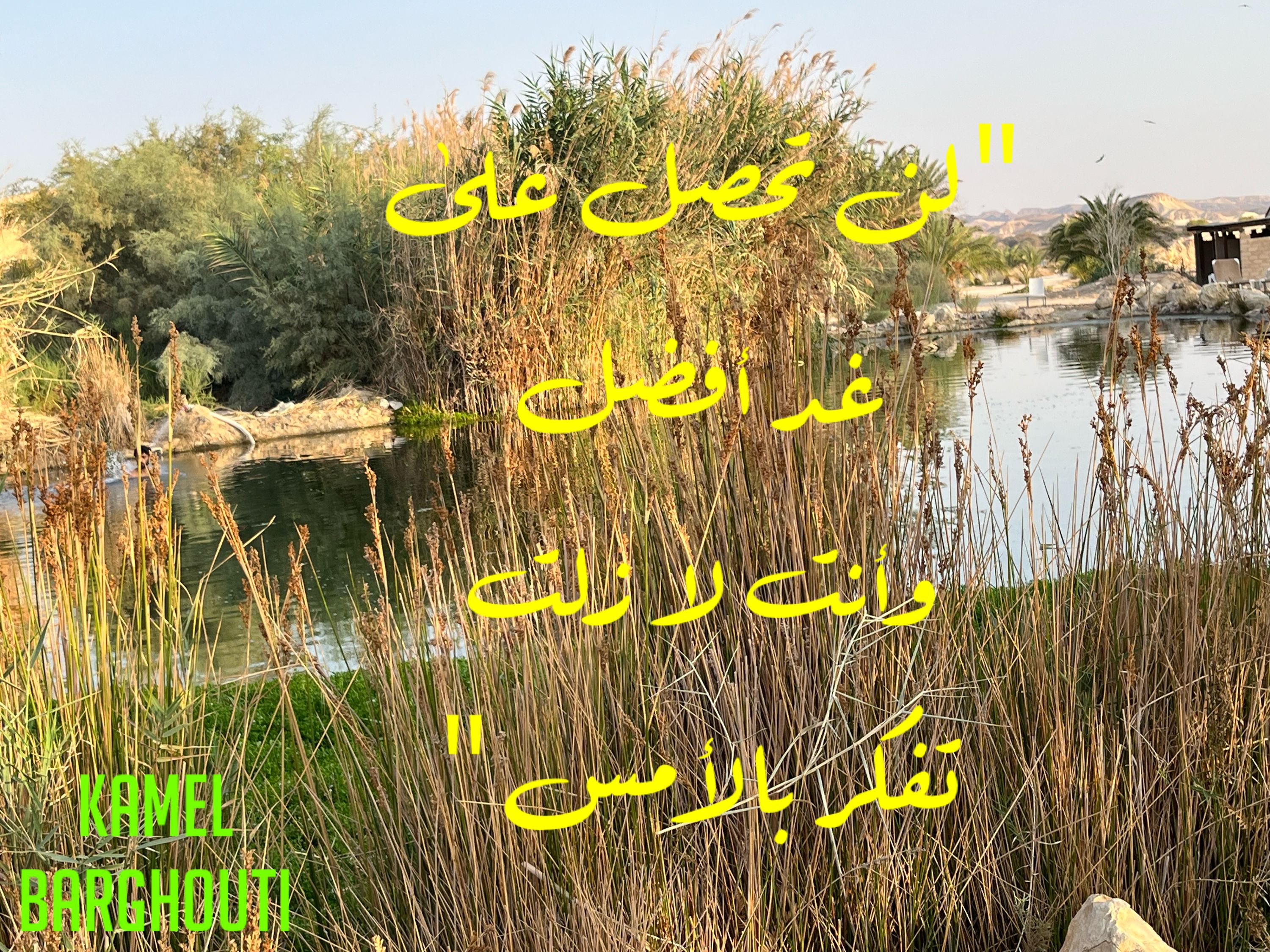 تفاؤل, أمل, وسعادة – اقتباس 252