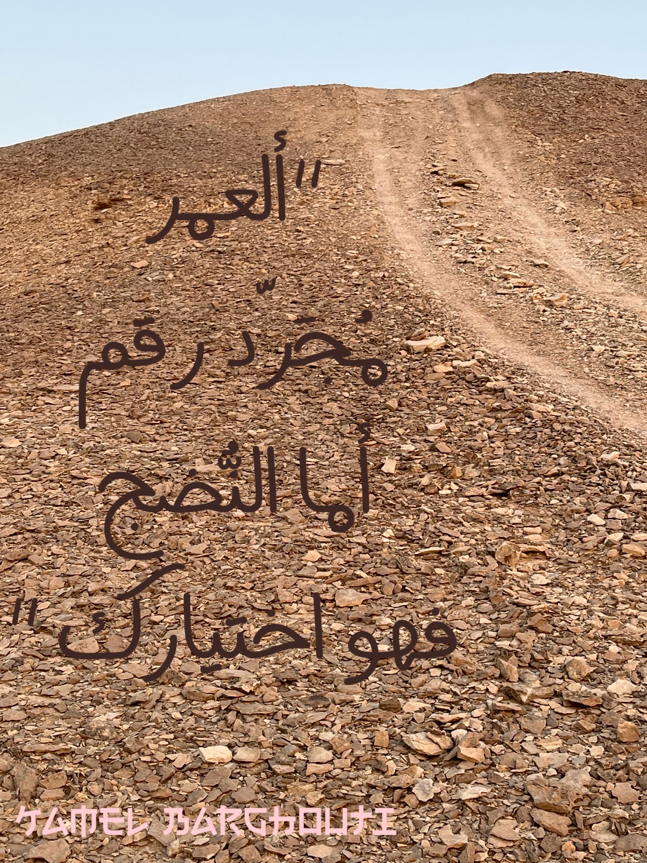 تفاؤل, أمل, وسعادة – اقتباس 251