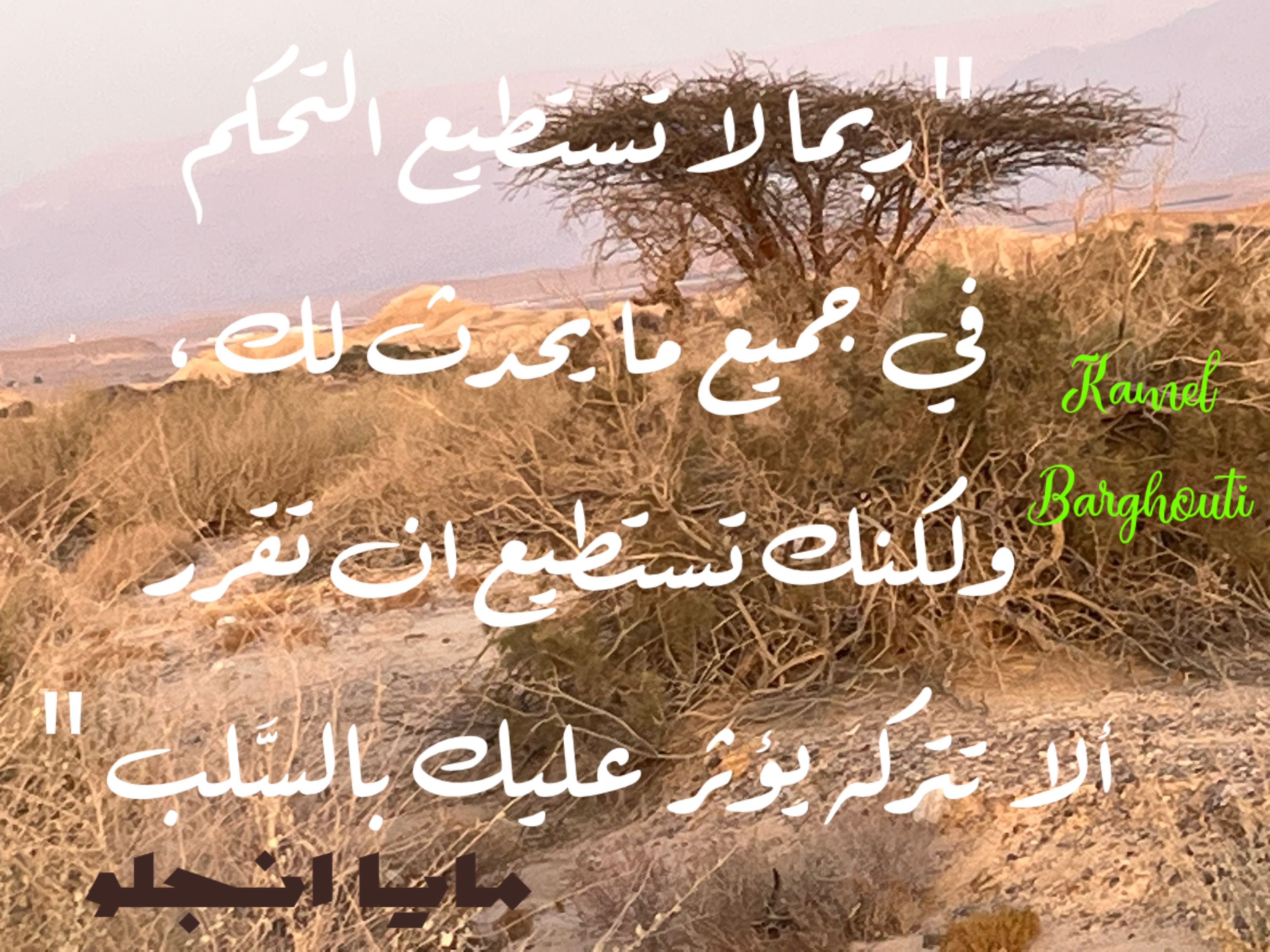 تفاؤل, أمل, وسعادة – اقتباس 244