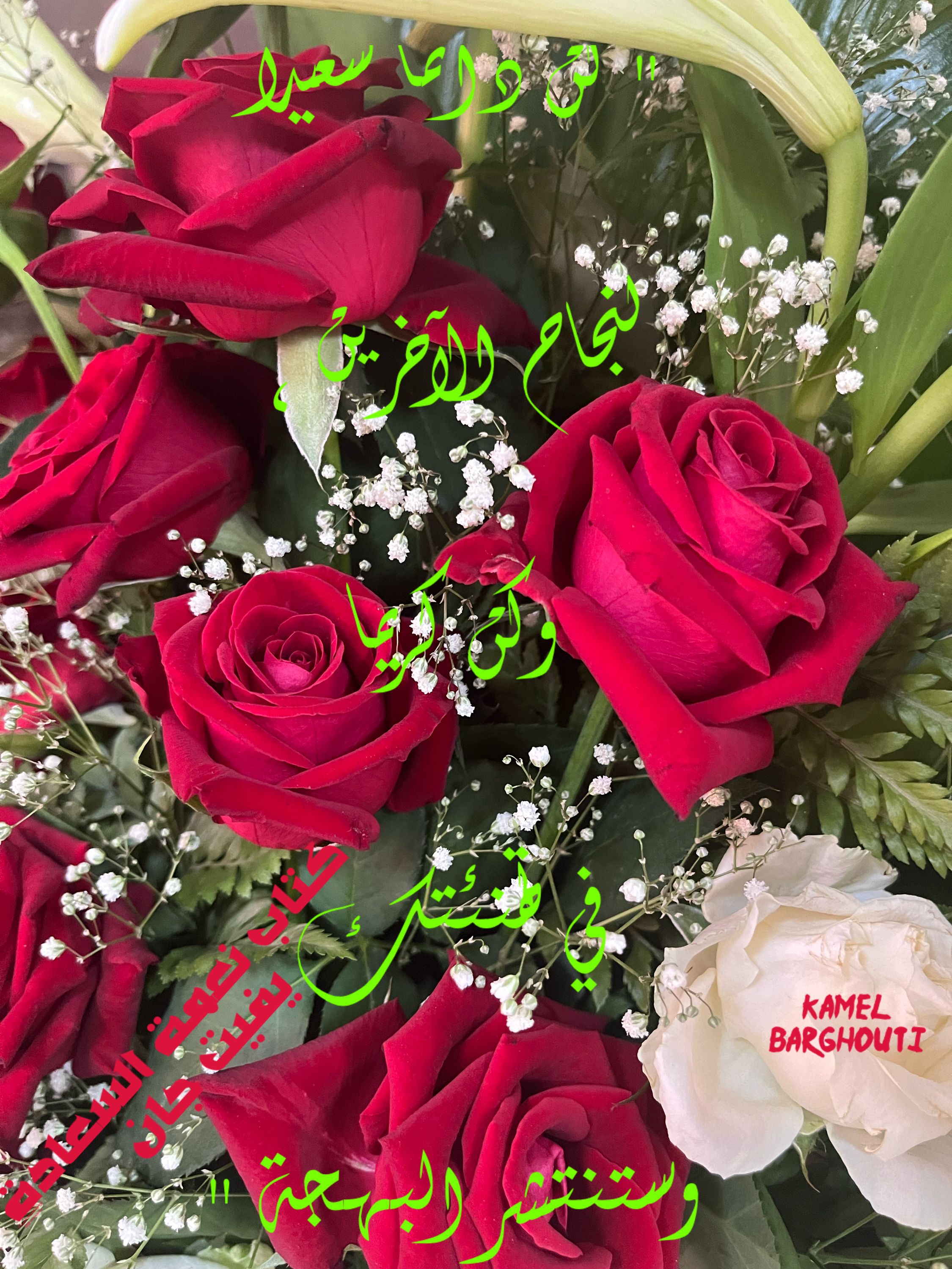 تفاؤل, أمل, وسعادة – اقتباس 213