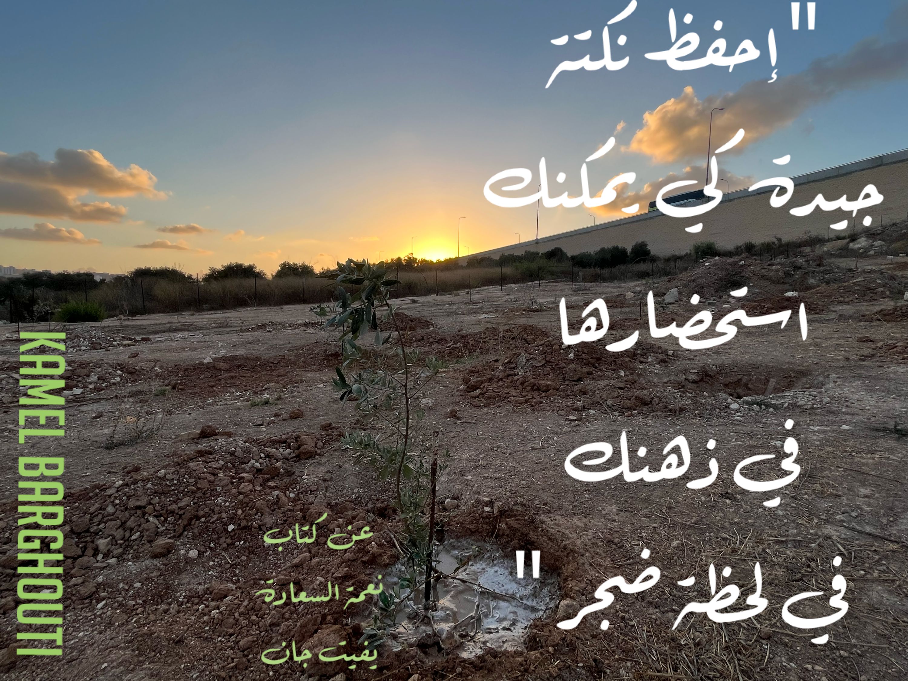 تفاؤل, أمل, وسعادة – اقتباس 217