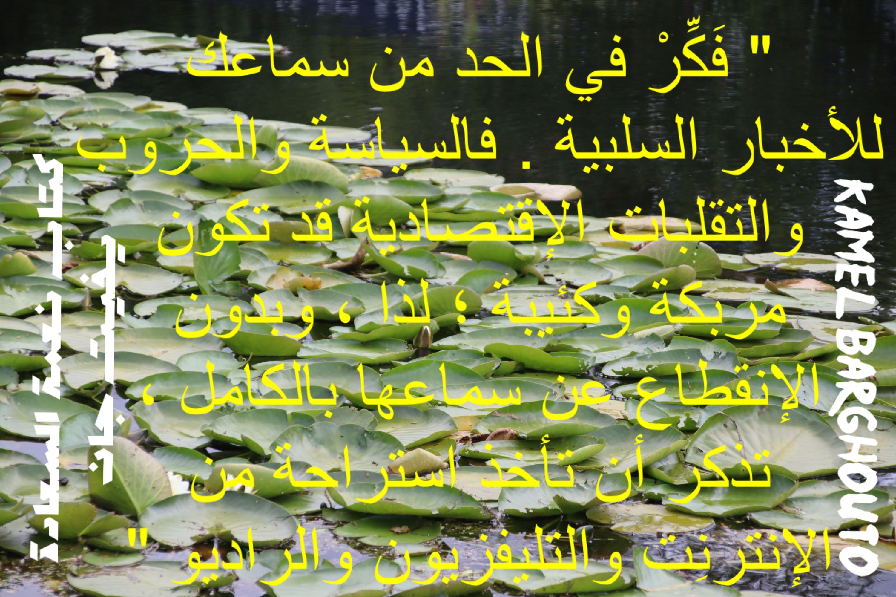 تفاؤل, أمل, وسعادة – اقتباس 222