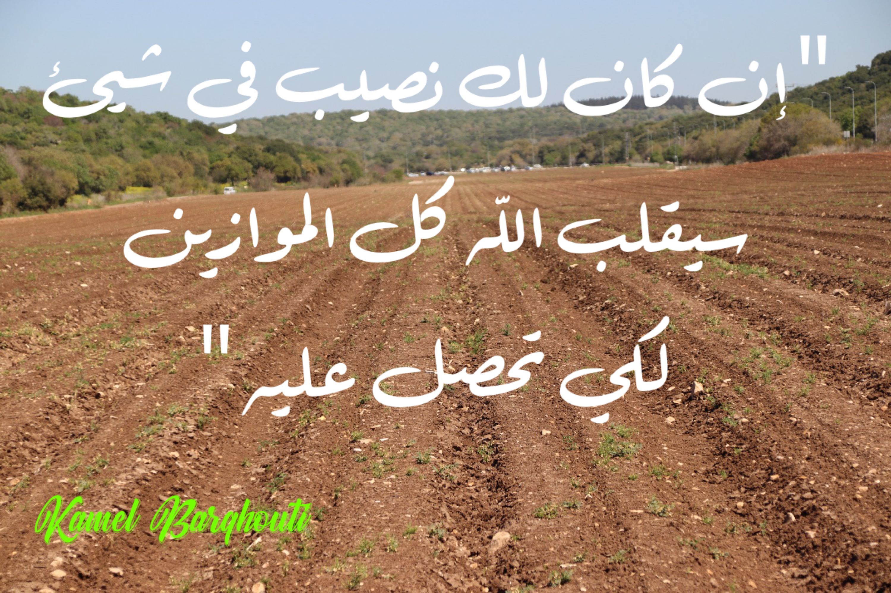 تفاؤل, أمل, وسعادة – اقتباس 198