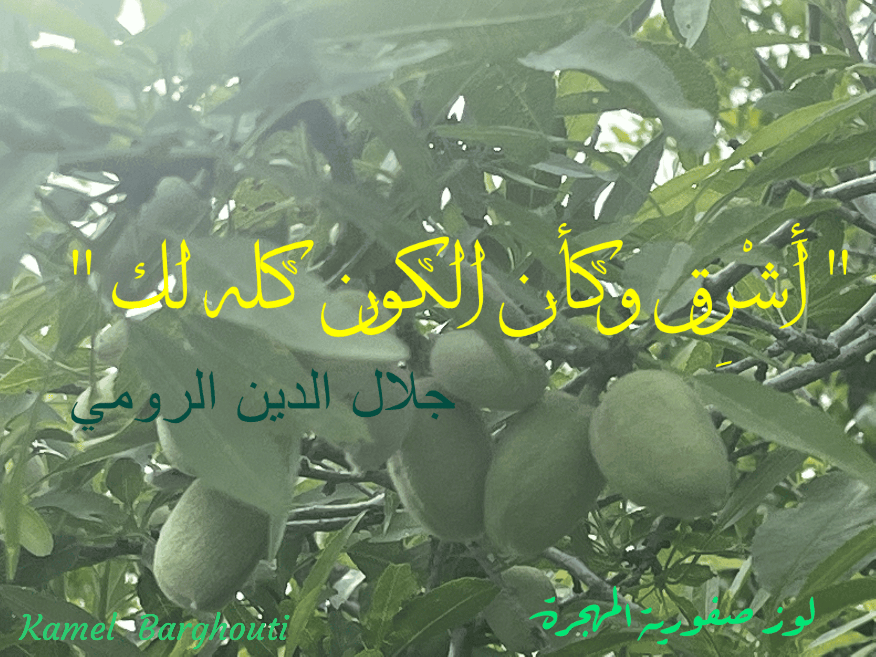 تفاؤل, أمل, وسعادة – اقتباس 197