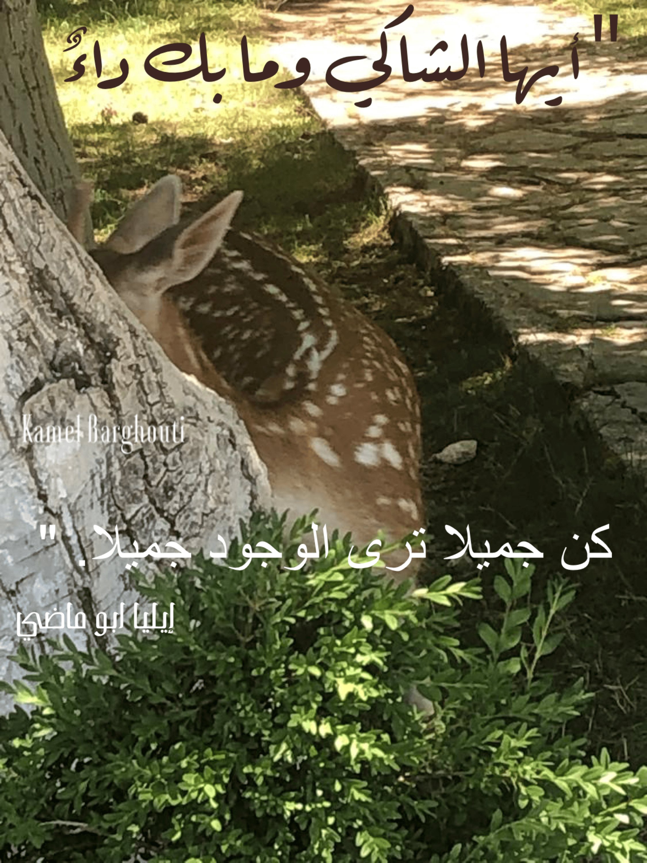 تفاؤل, أمل, وسعادة – اقتباس 180
