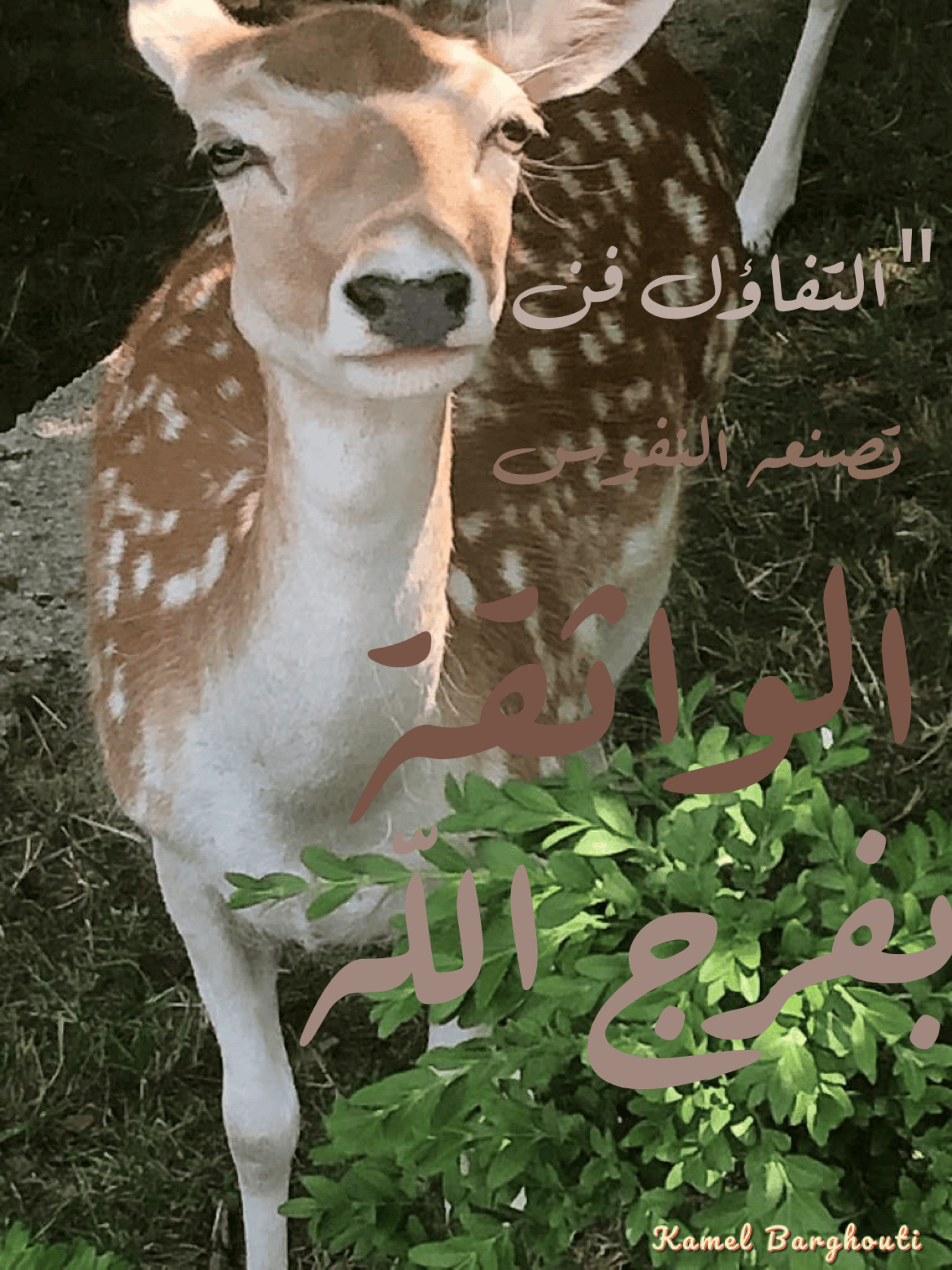 تفاؤل, أمل, وسعادة – اقتباس 181