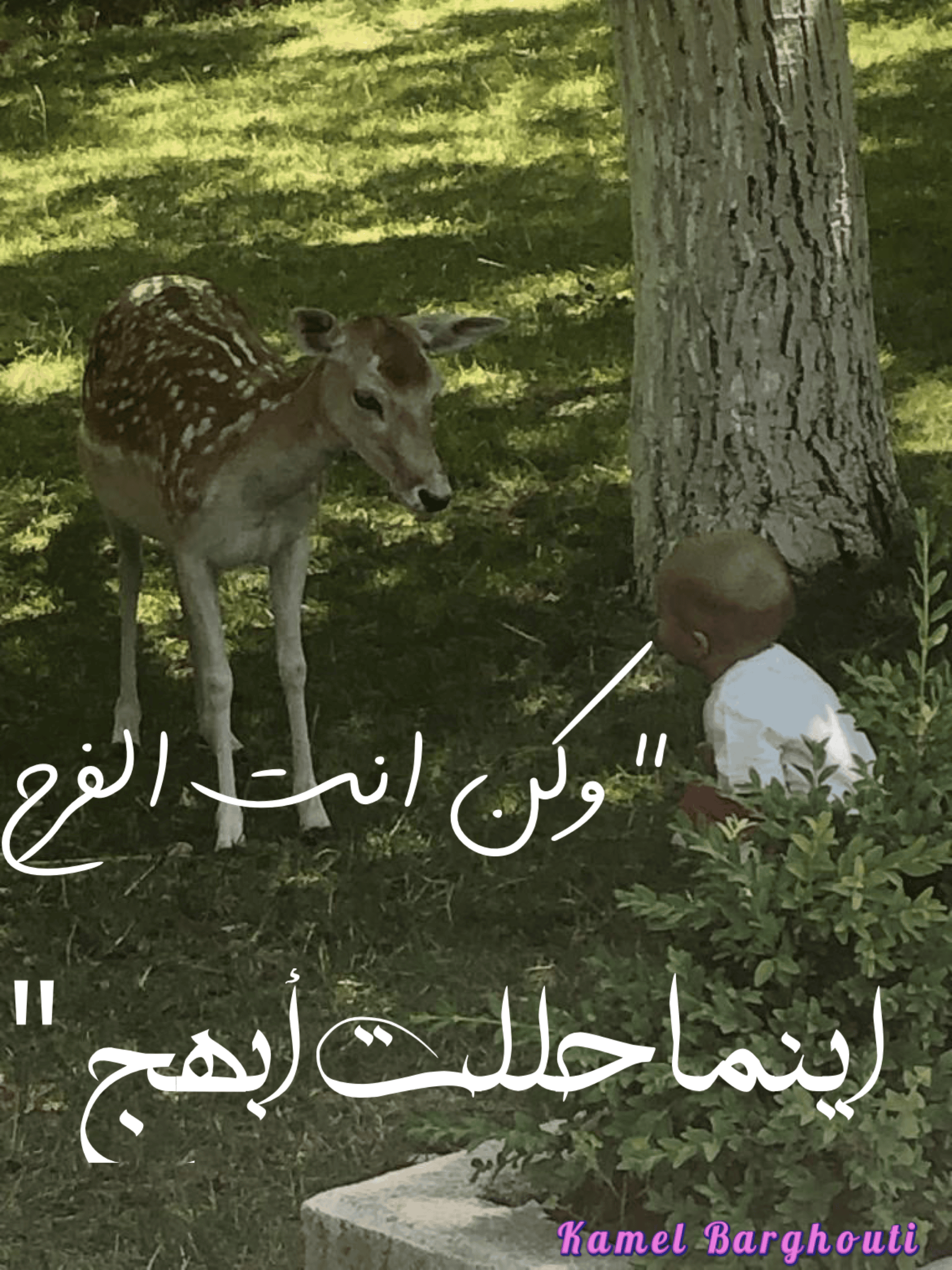 تفاؤل, أمل, وسعادة – اقتباس 182