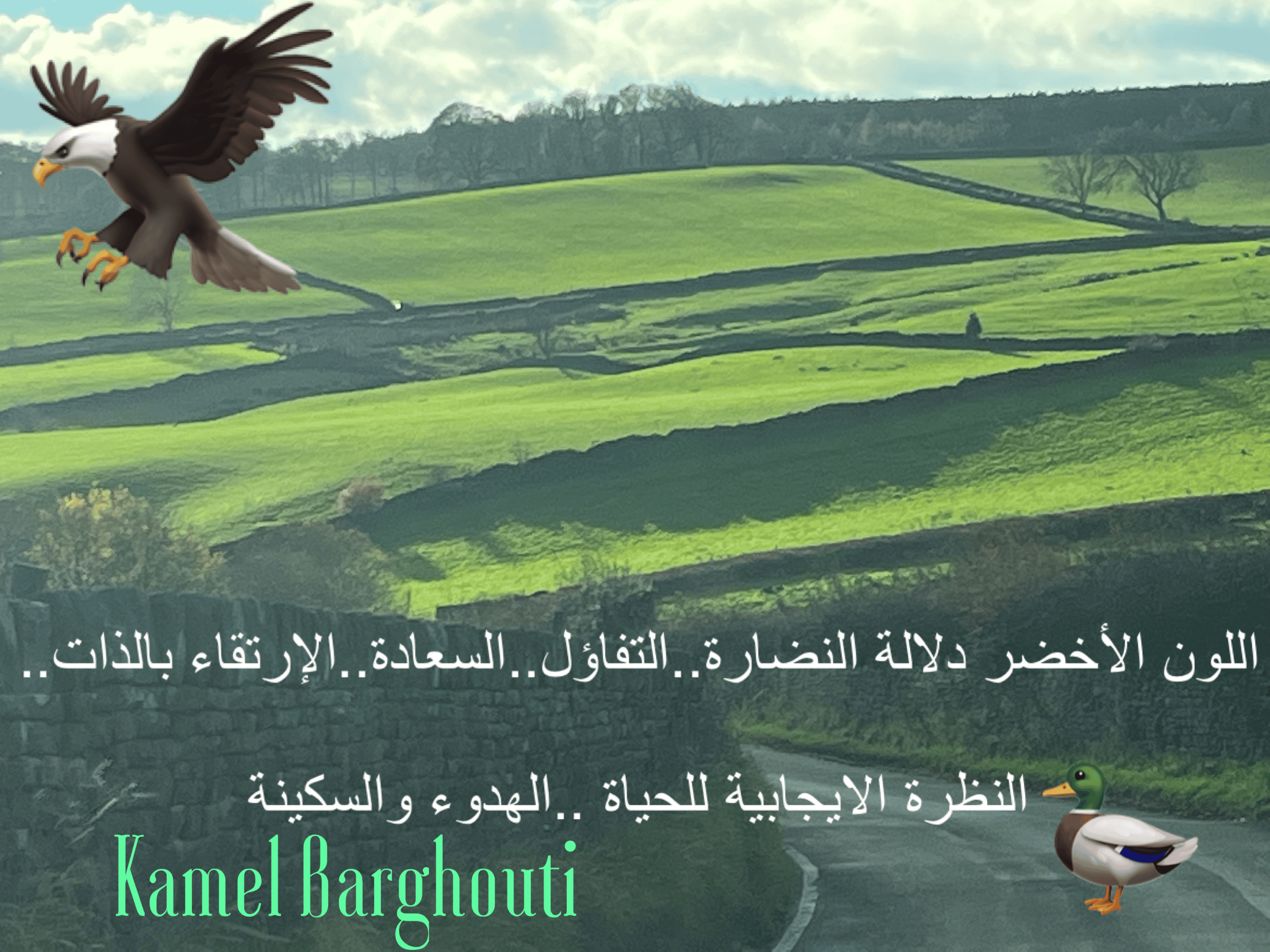 تفاؤل, أمل, وسعادة – اقتباس 175