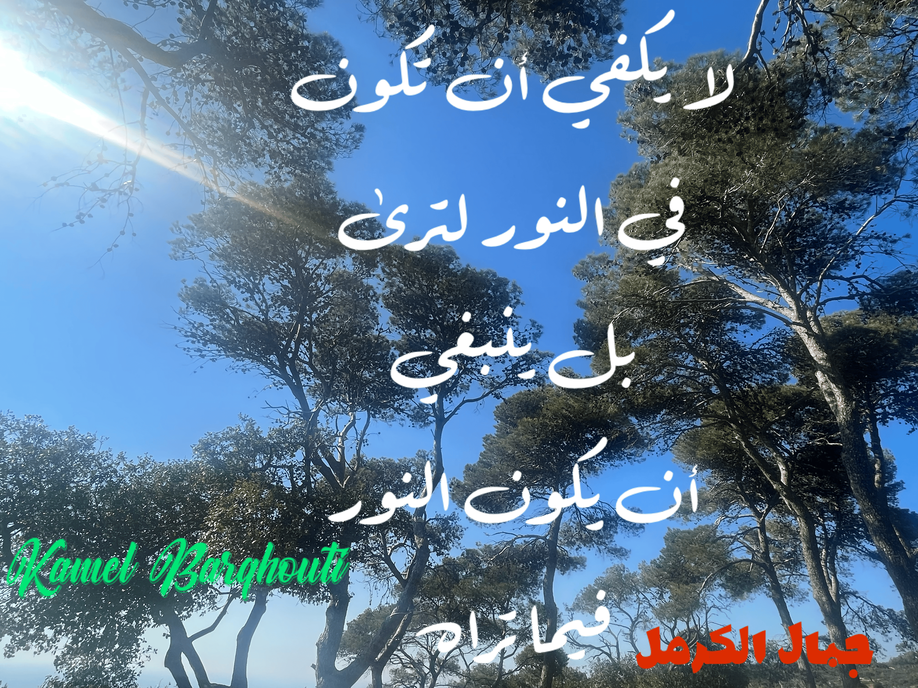 تفاؤل, أمل, وسعادة – اقتباس 161