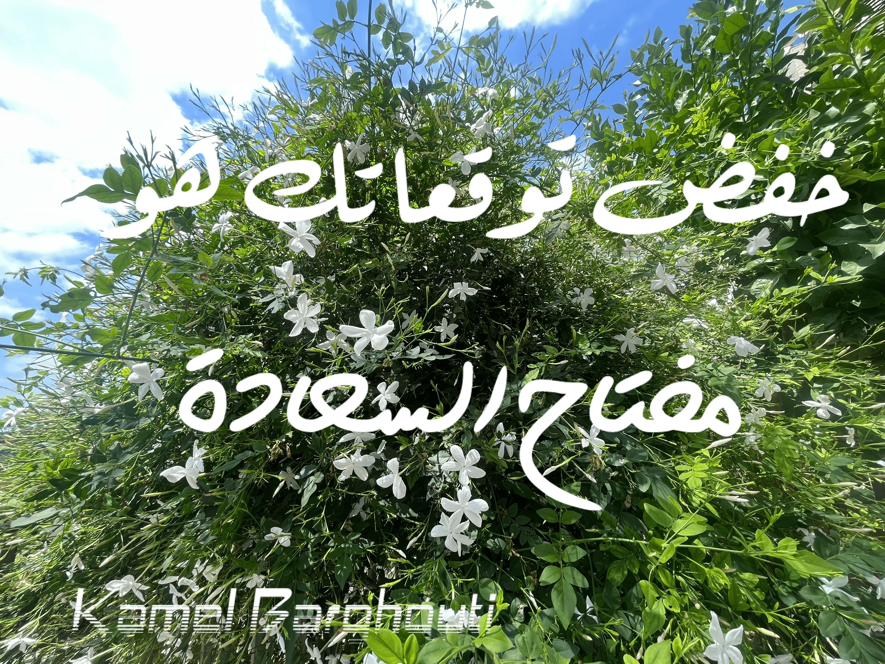 تفاؤل, أمل, وسعادة – اقتباس 157