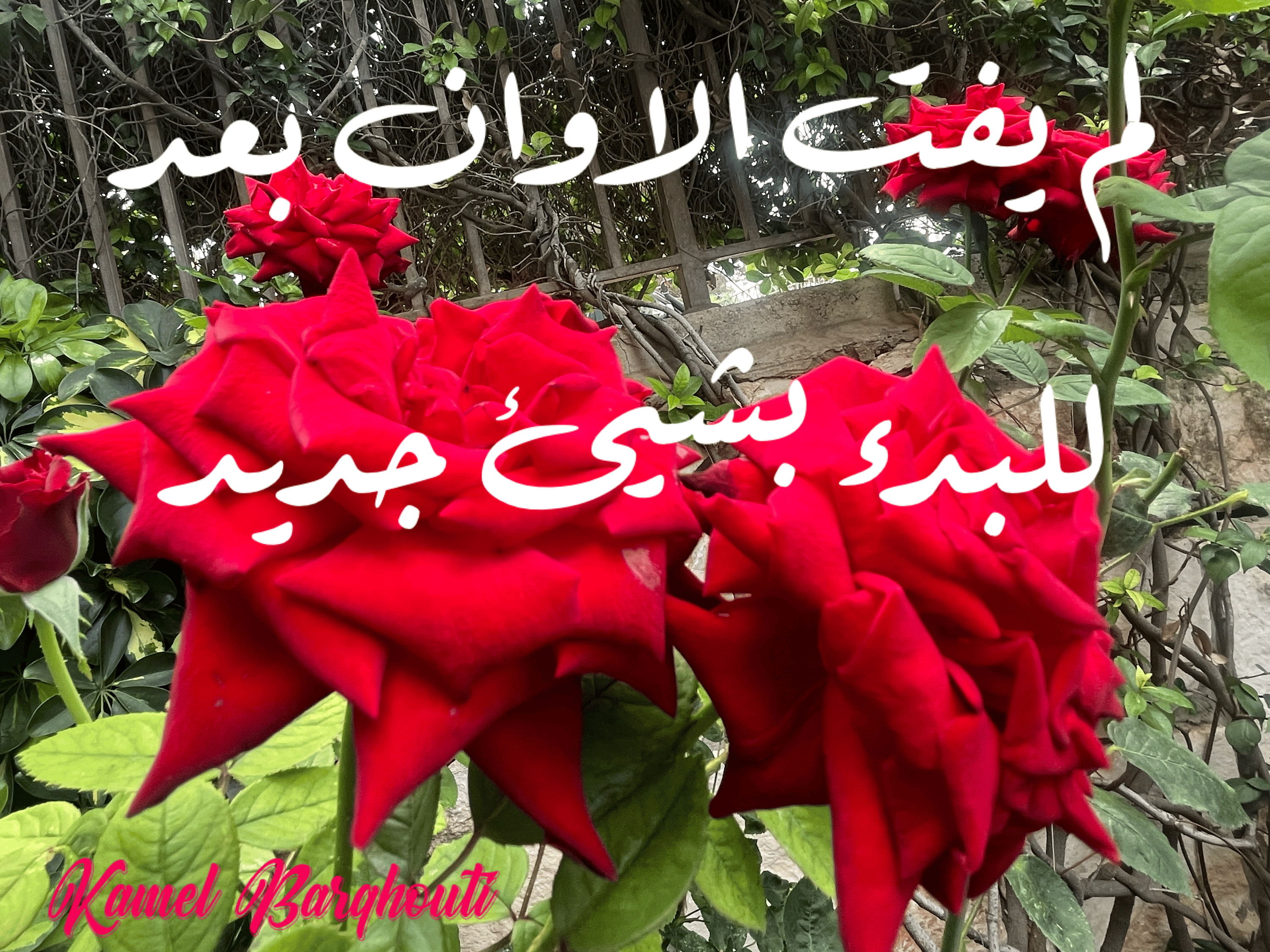 تفاؤل, أمل, وسعادة – اقتباس 156