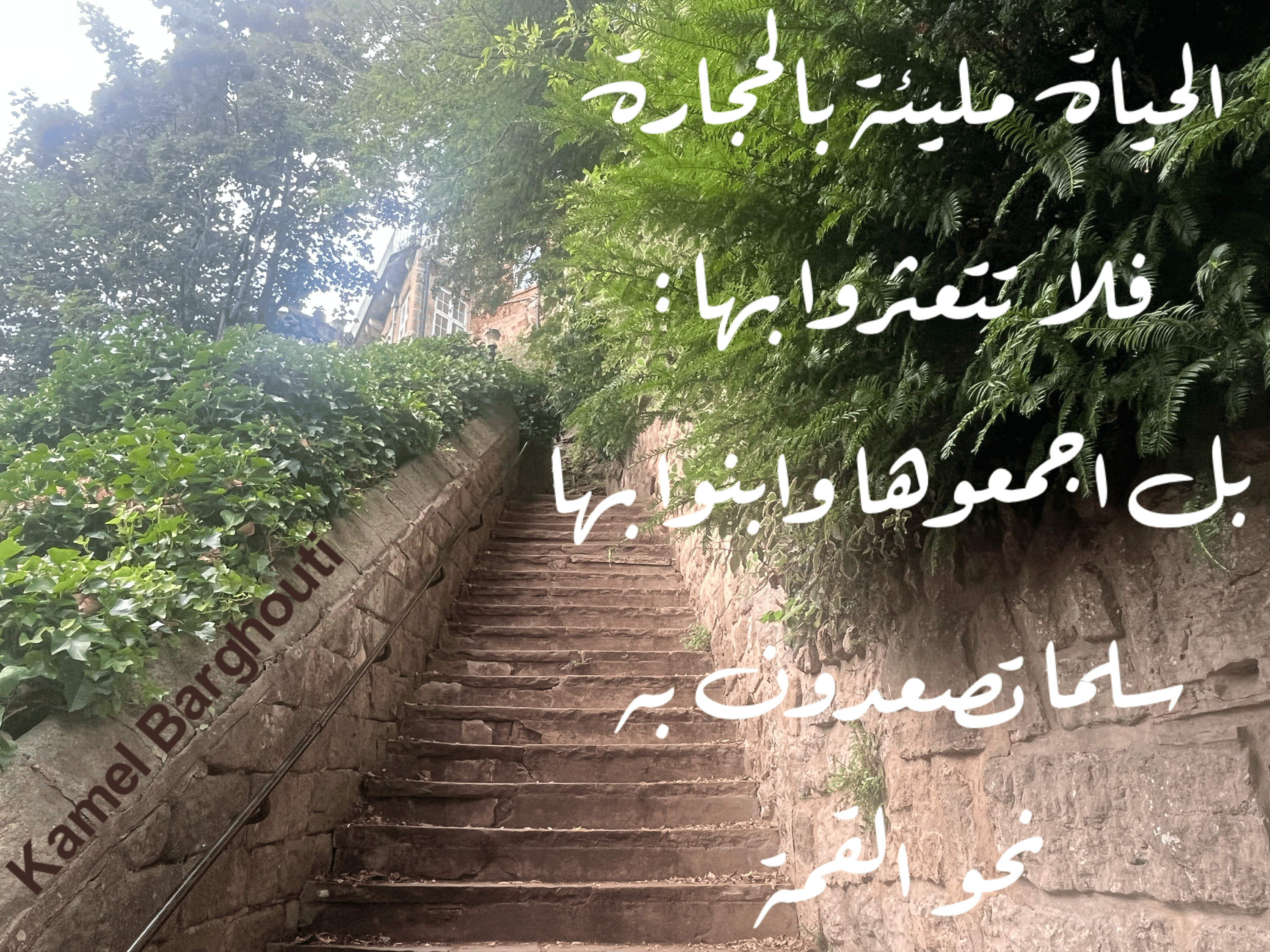 تفاؤل, أمل, وسعادة – اقتباس 115