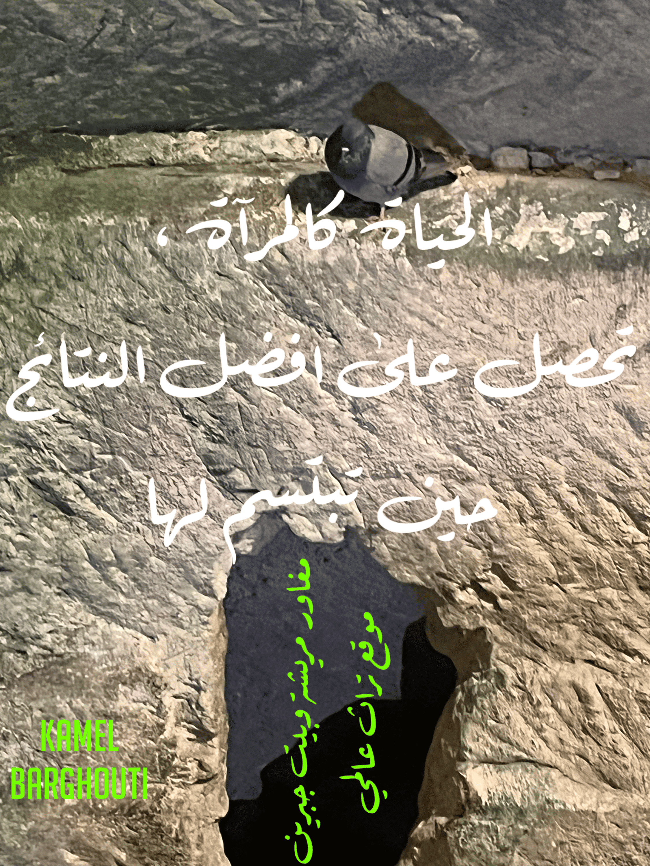 تفاؤل, أمل, وسعادة – اقتباس 79