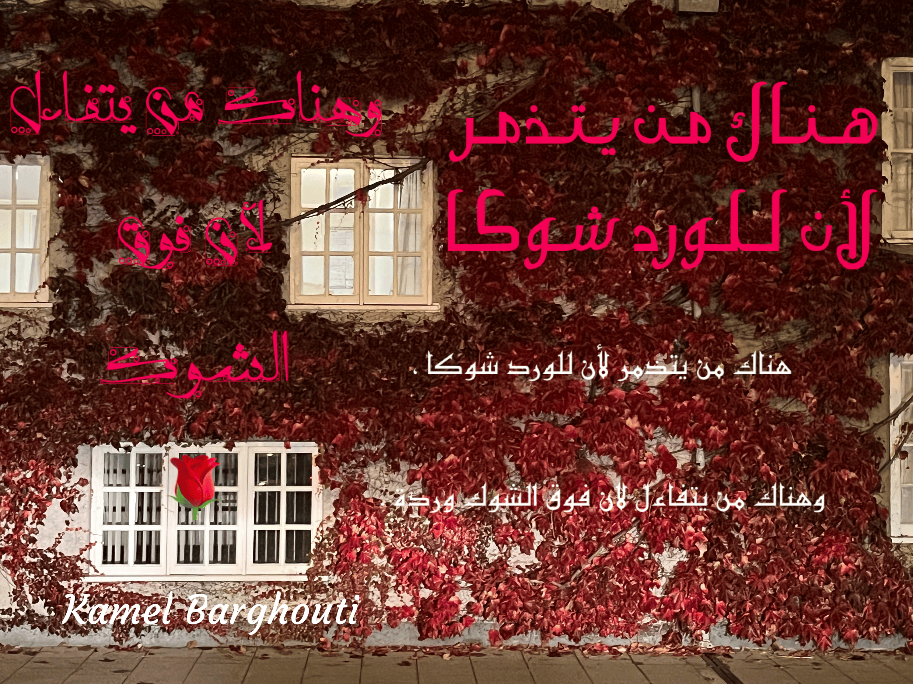 تفاؤل, أمل, وسعادة – اقتباس 74