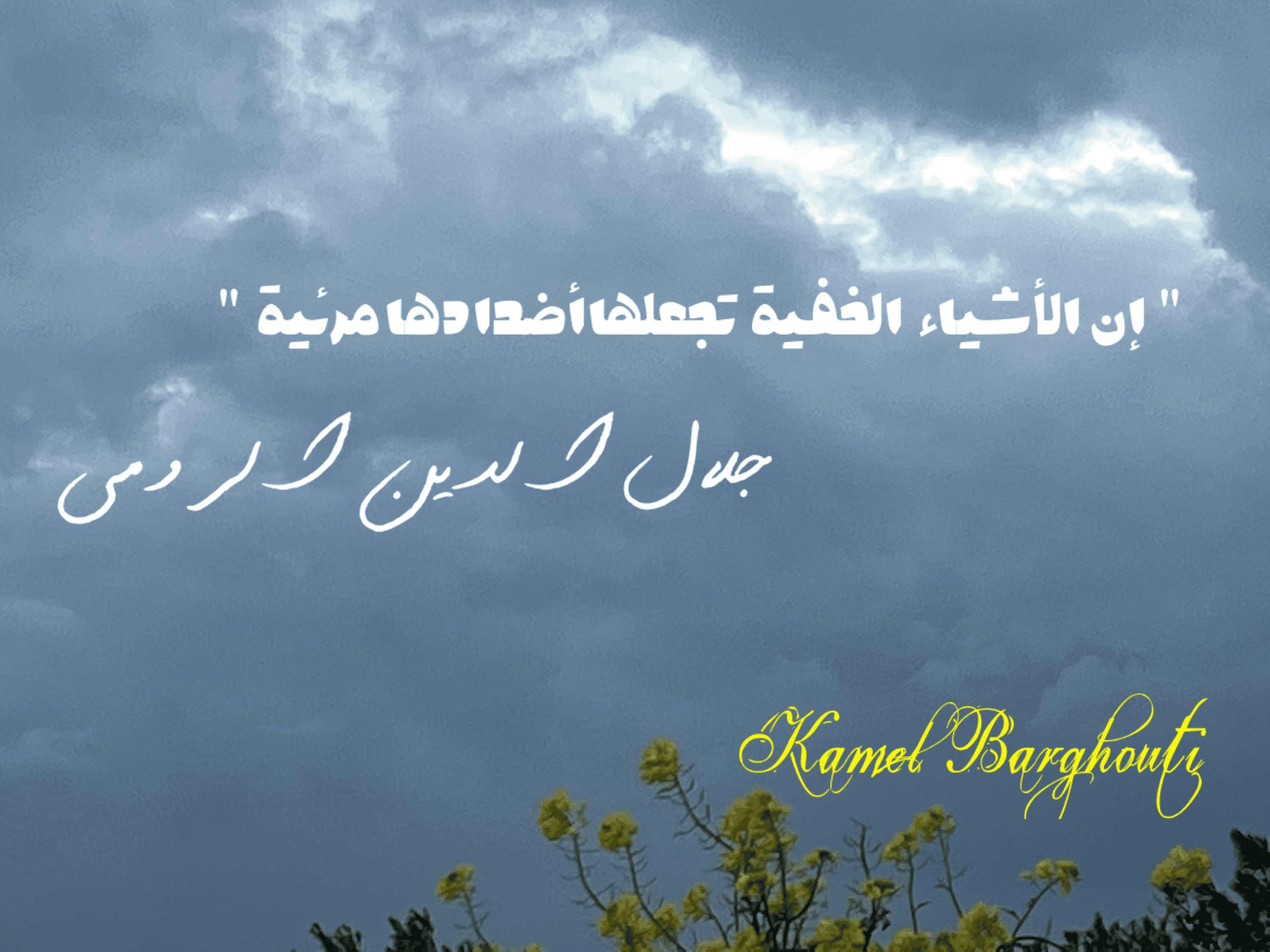 تفاؤل, أمل, وسعادة – اقتباس 69