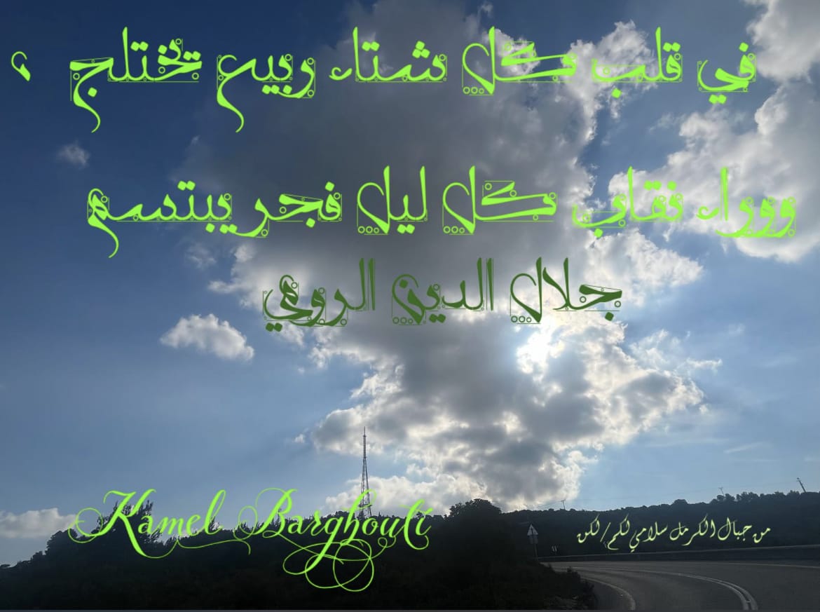تفاؤل, أمل, وسعادة – اقتباس 71