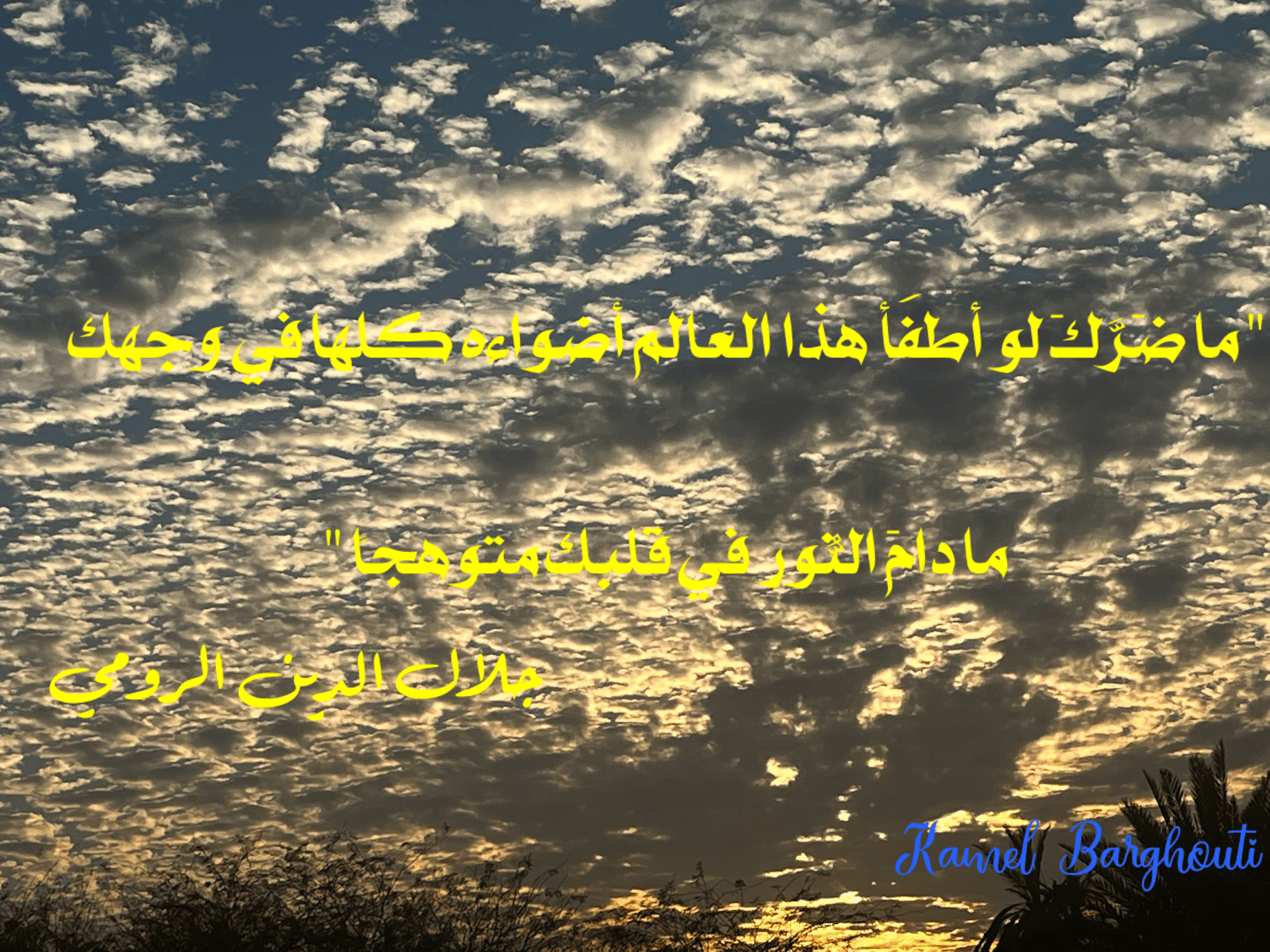 تفاؤل, أمل, وسعادة – اقتباس 66