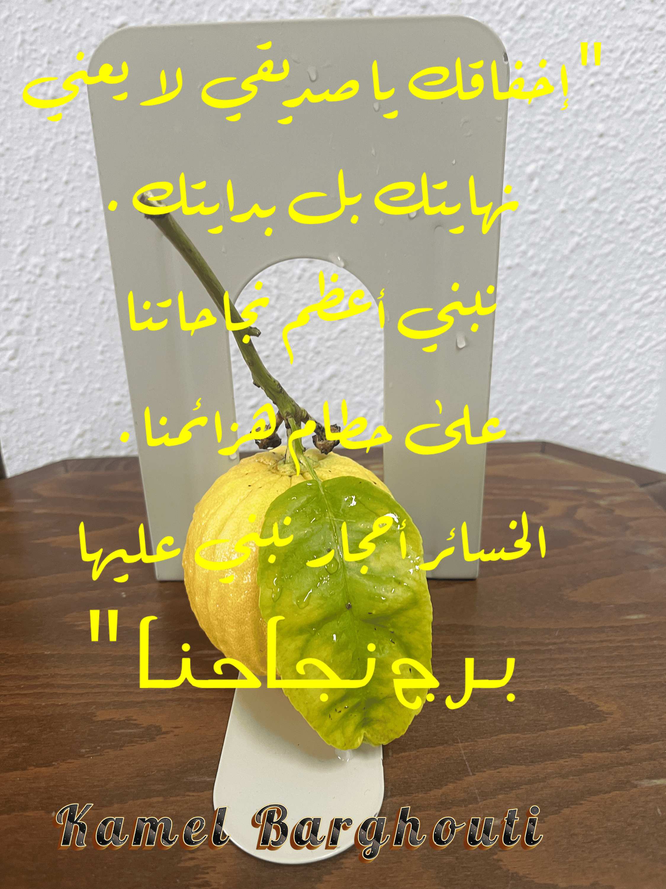 تفاؤل, أمل, وسعادة – اقتباس 58