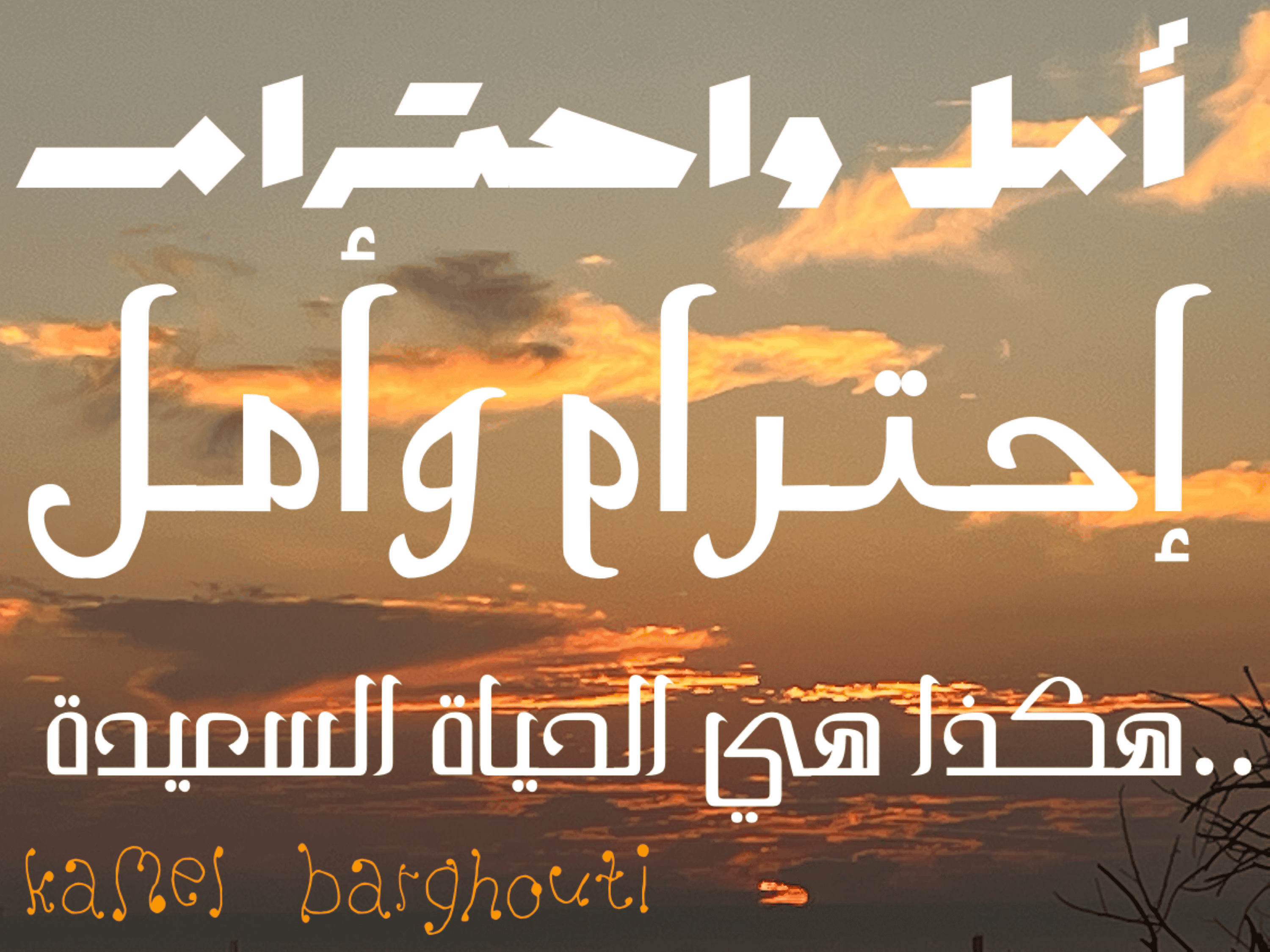 تفاؤل, أمل, وسعادة – اقتباس 56