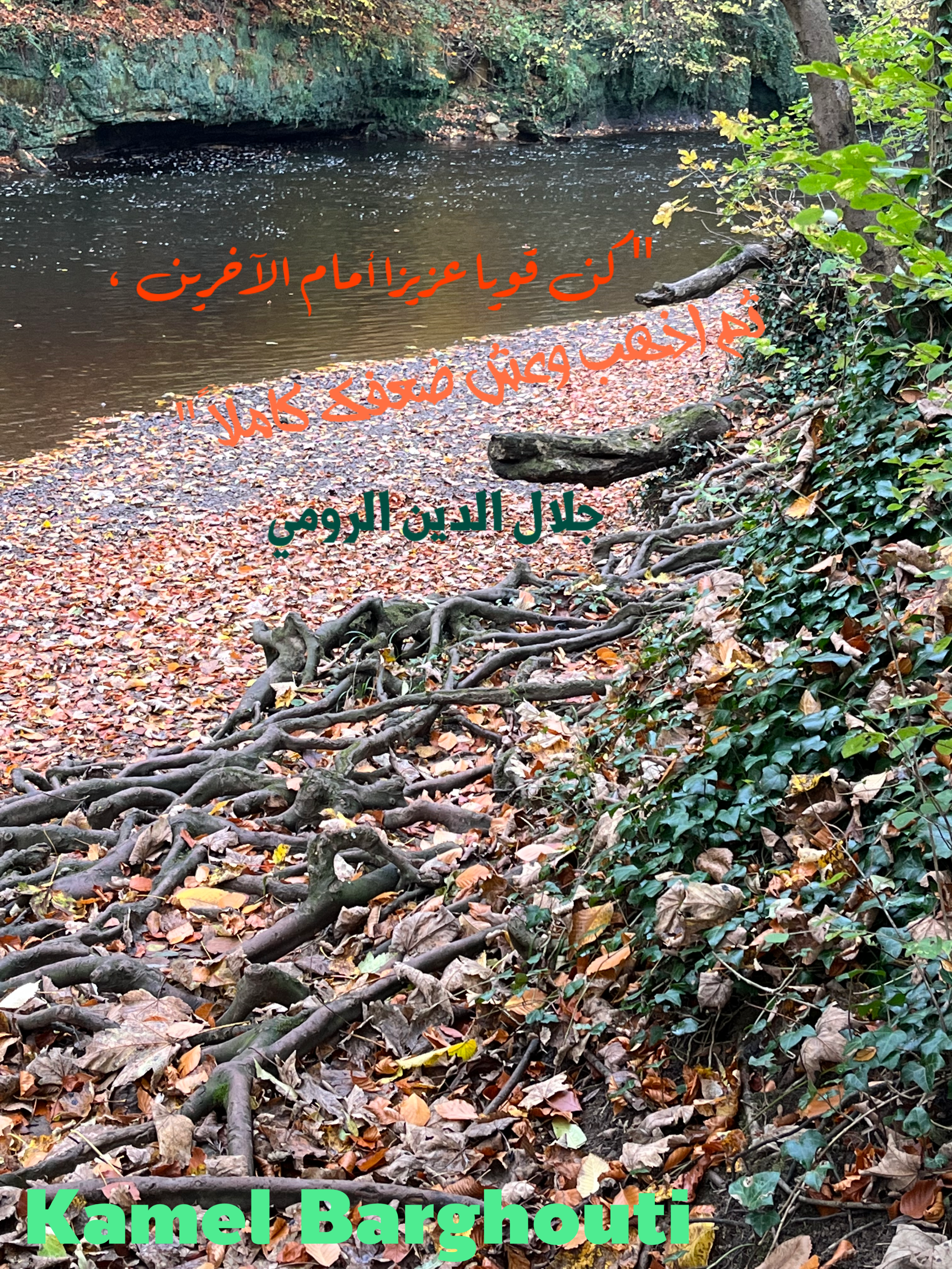 فخر وكرامة – اقتباس 145