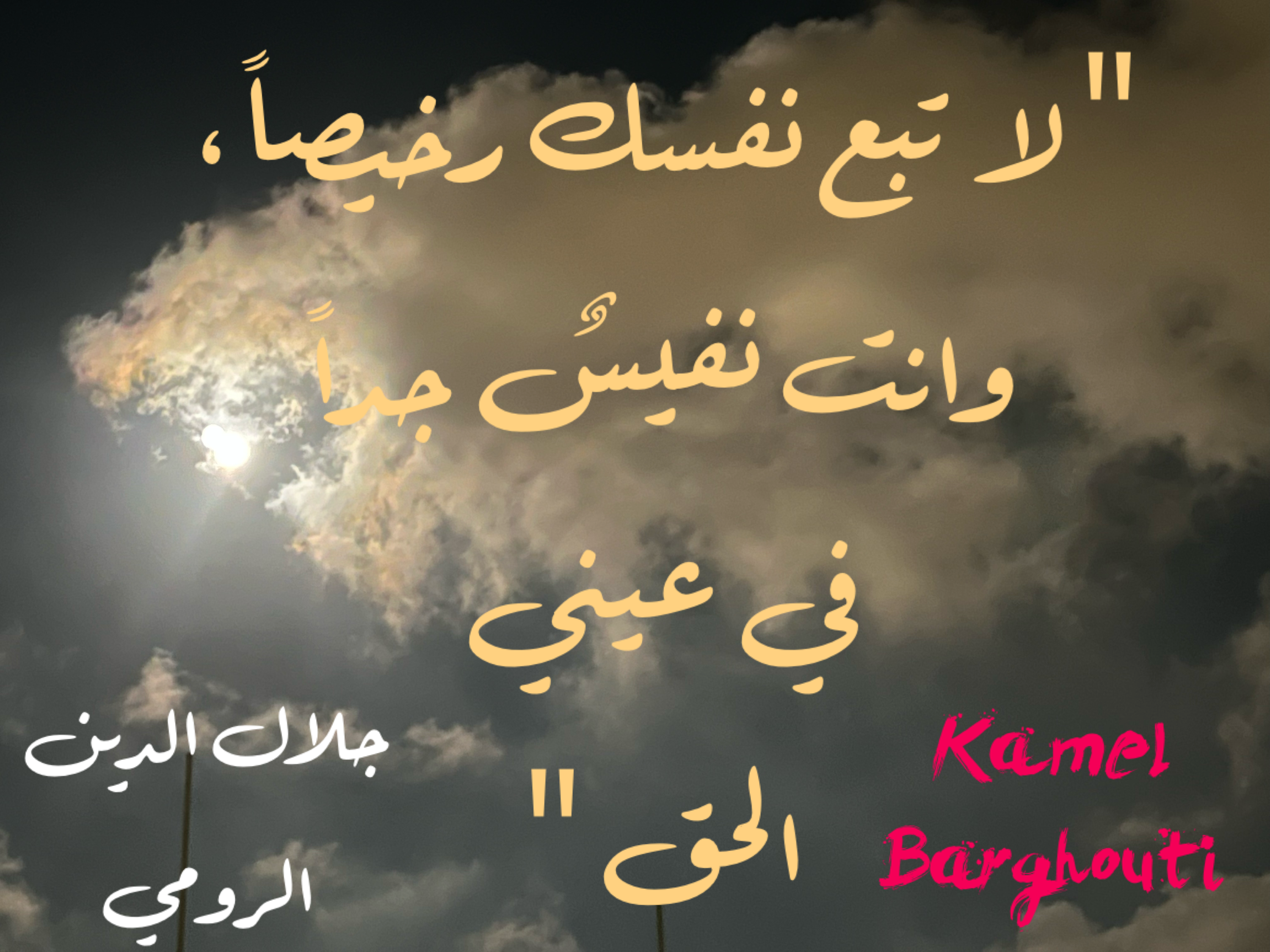 فخر وكرامة – اقتباس 106