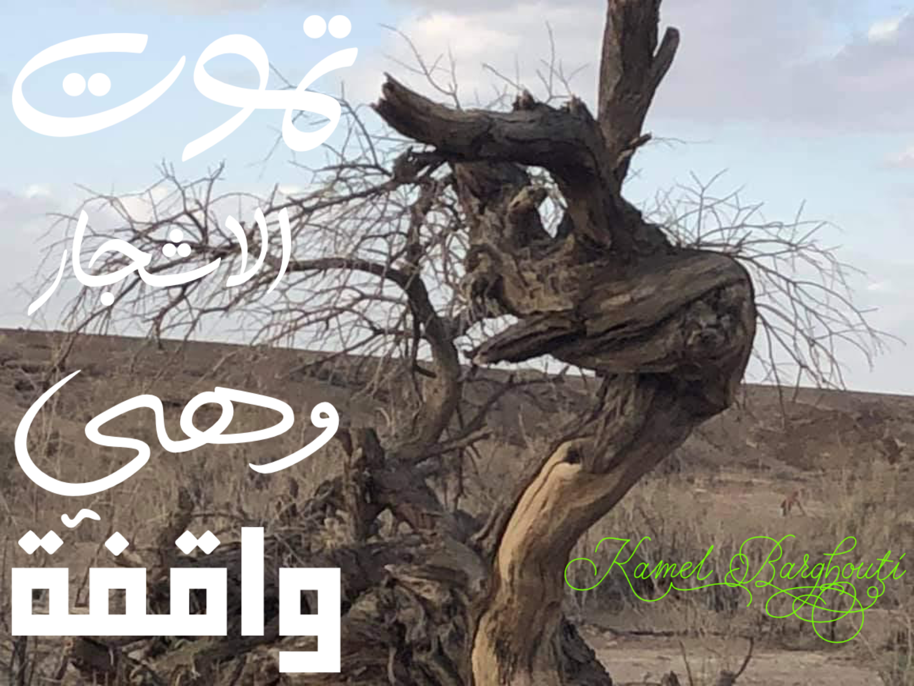 تفاؤل, أمل, وسعادة – اقتباس 36