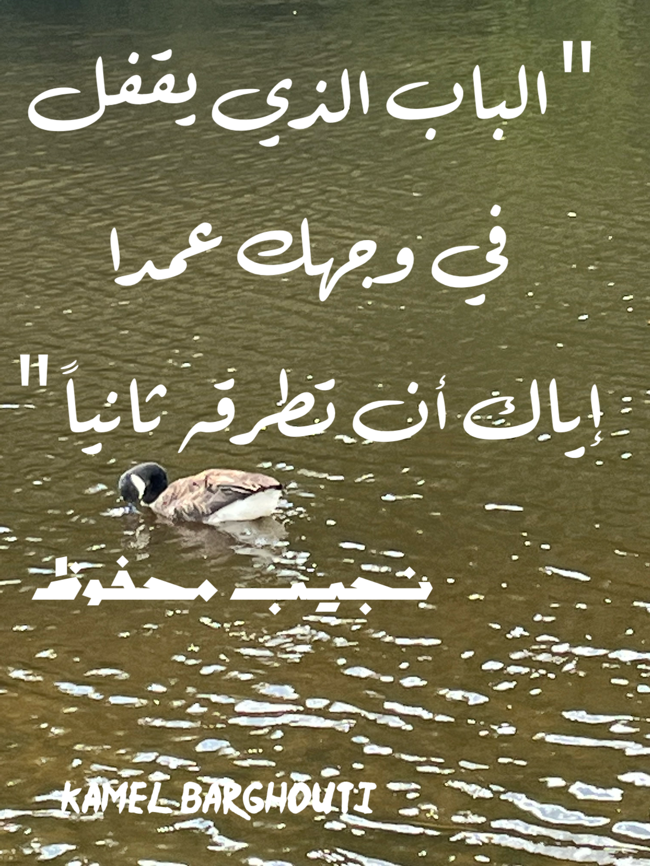 تفاؤل, أمل, وسعادة – اقتباس 19