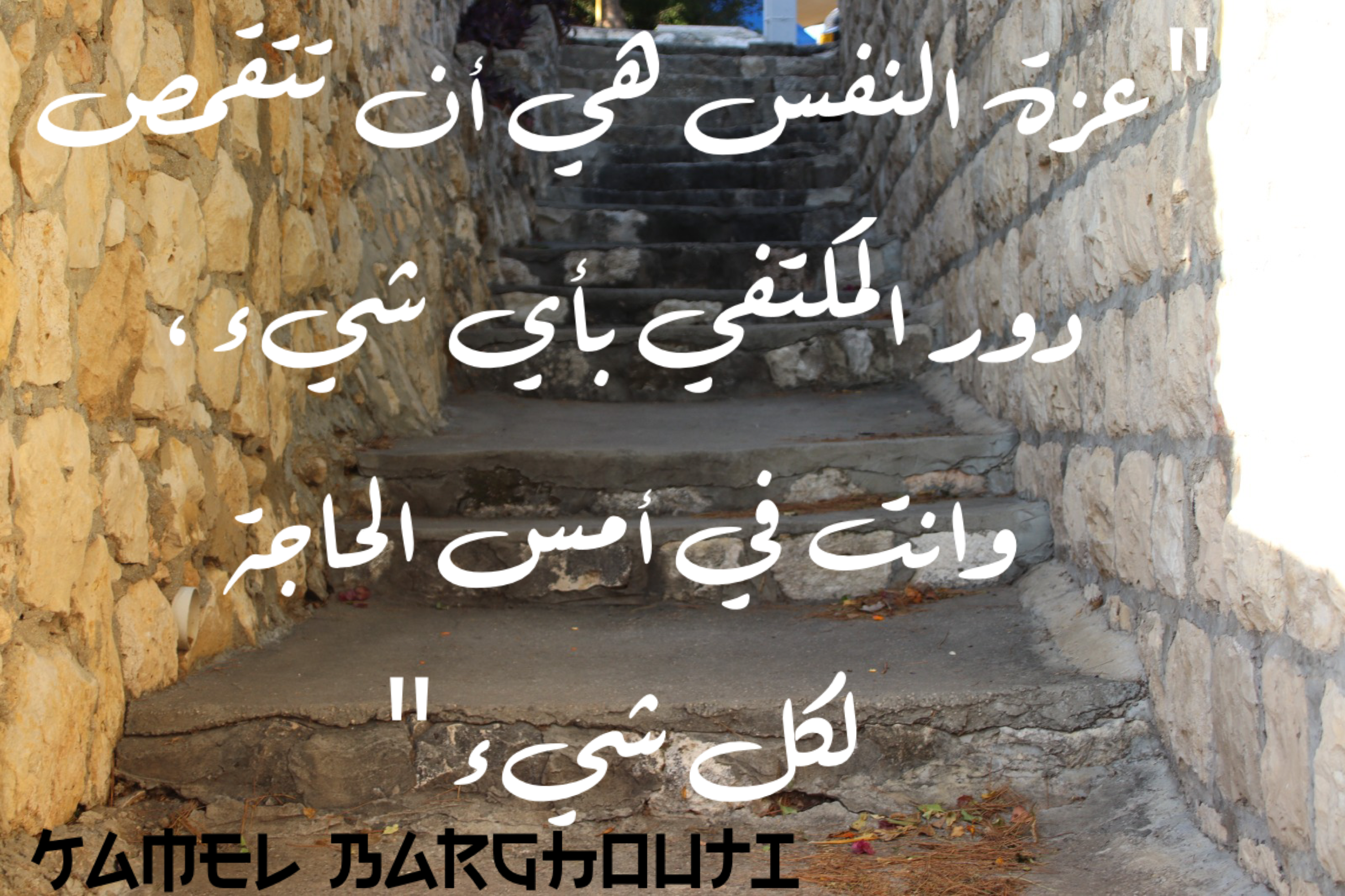 تفاؤل, أمل, وسعادة – اقتباس 11