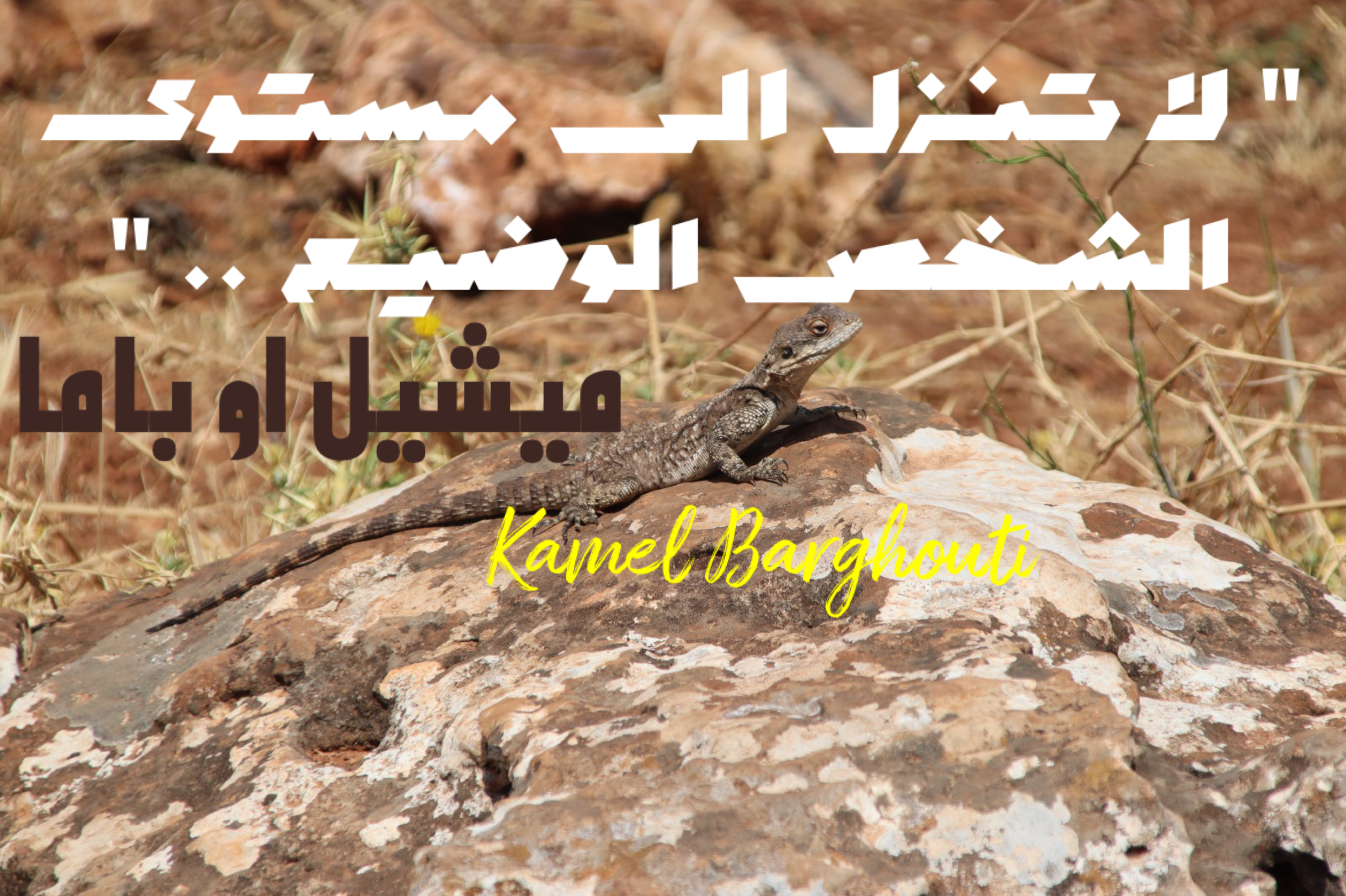 تفاؤل, أمل, وسعادة – اقتباس 2
