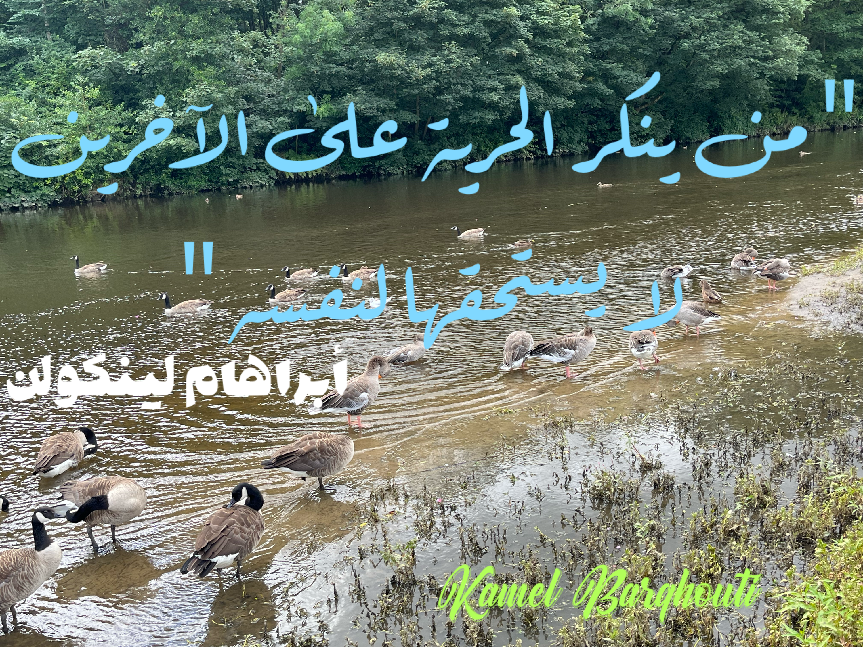 فخر وكرامة – اقتباس 7