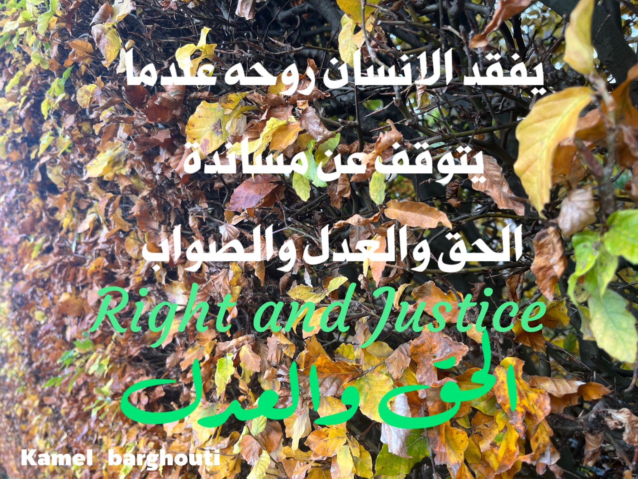 Truth, Justice and Honesty – quote 127