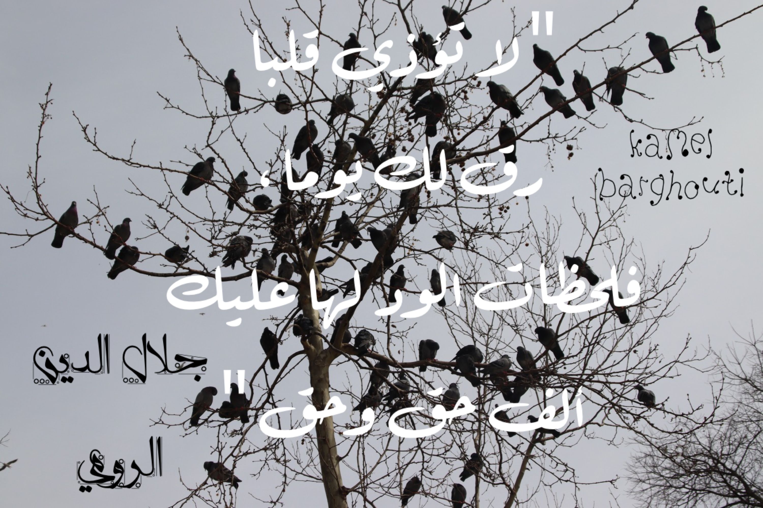 Truth, Justice and Honesty – quote 102