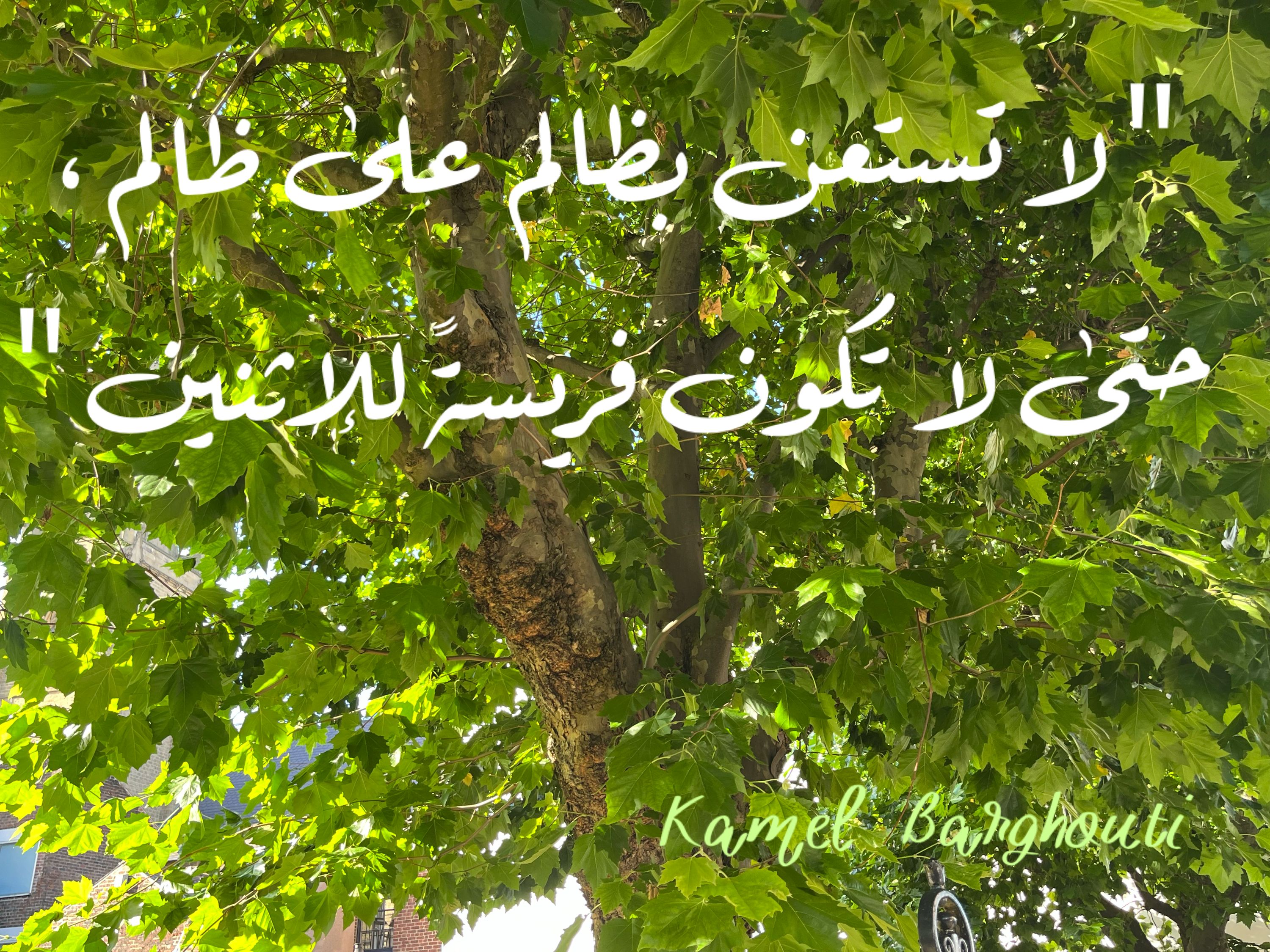 Truth, Justice and Honesty – quote 81