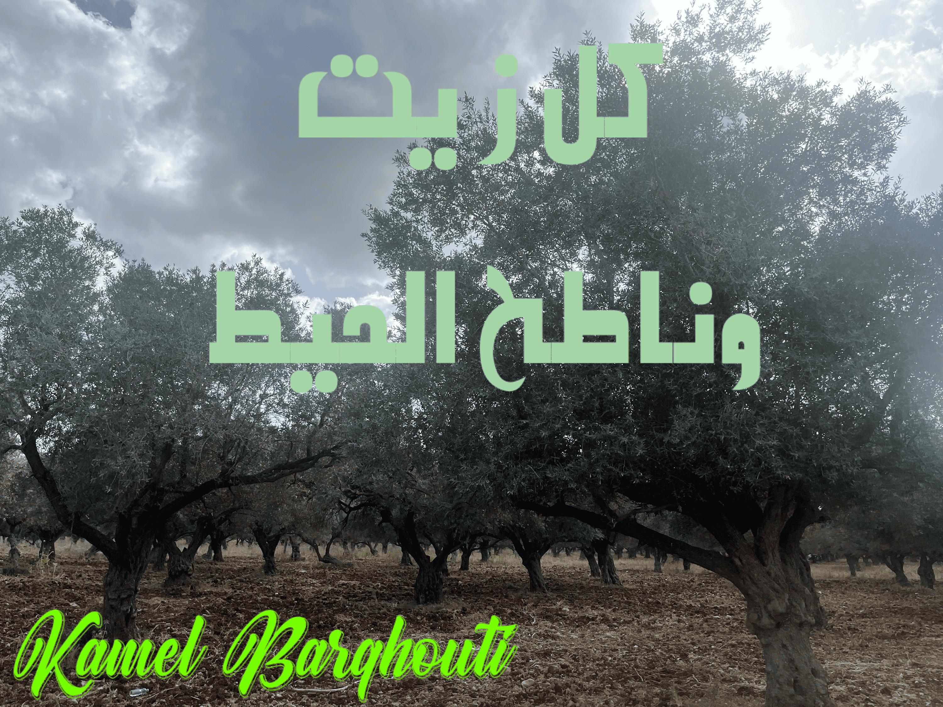 פתגמים מקומיים – ציטוט 43