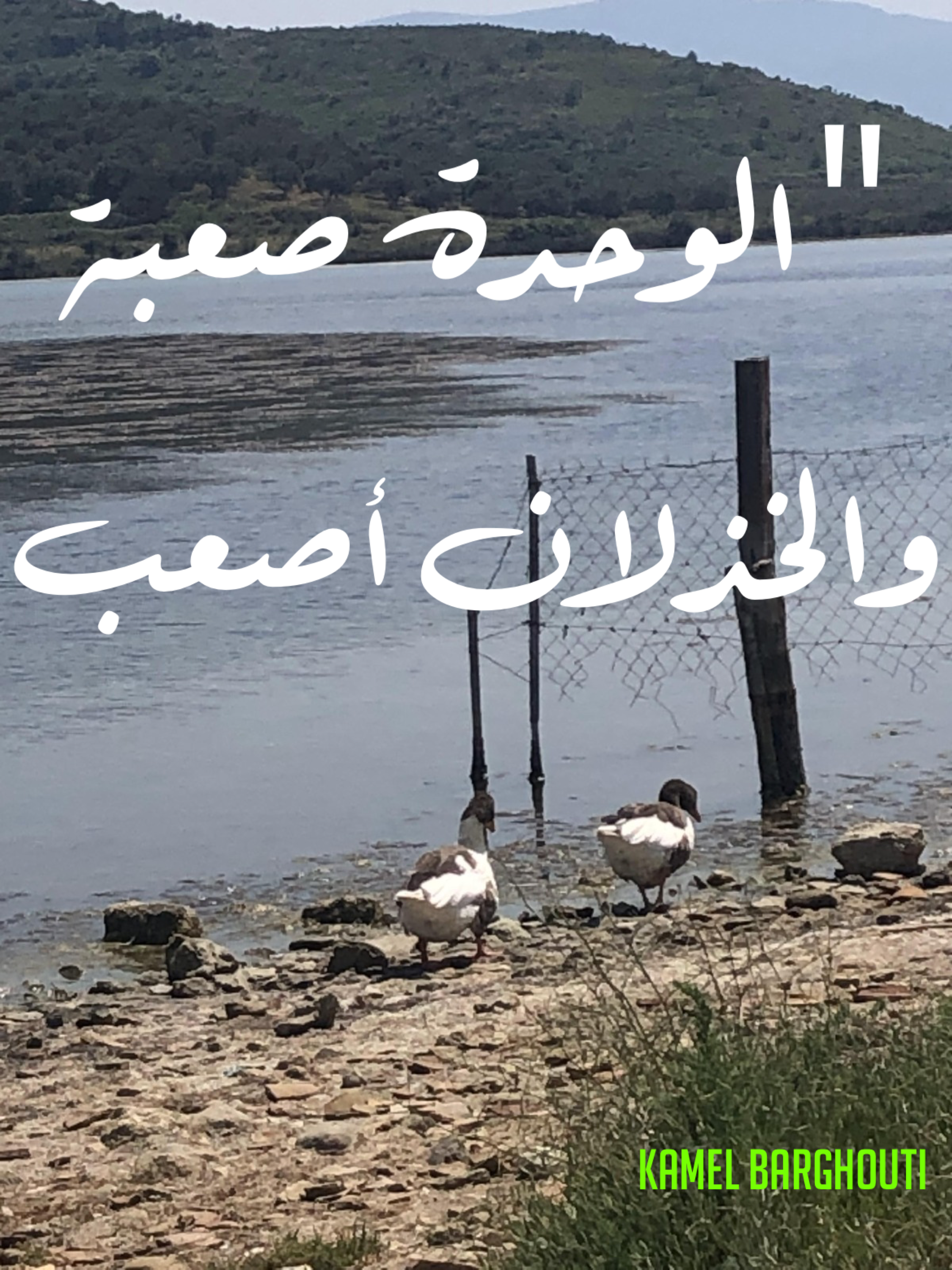 בדידות ושקט – ציטוט 25