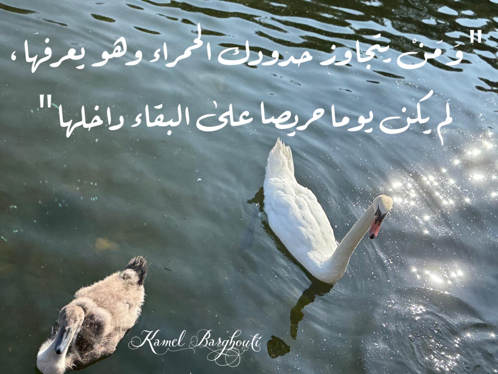Good Morning – quote 77