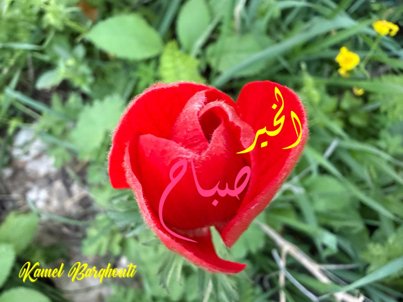 Good Morning – quote 70