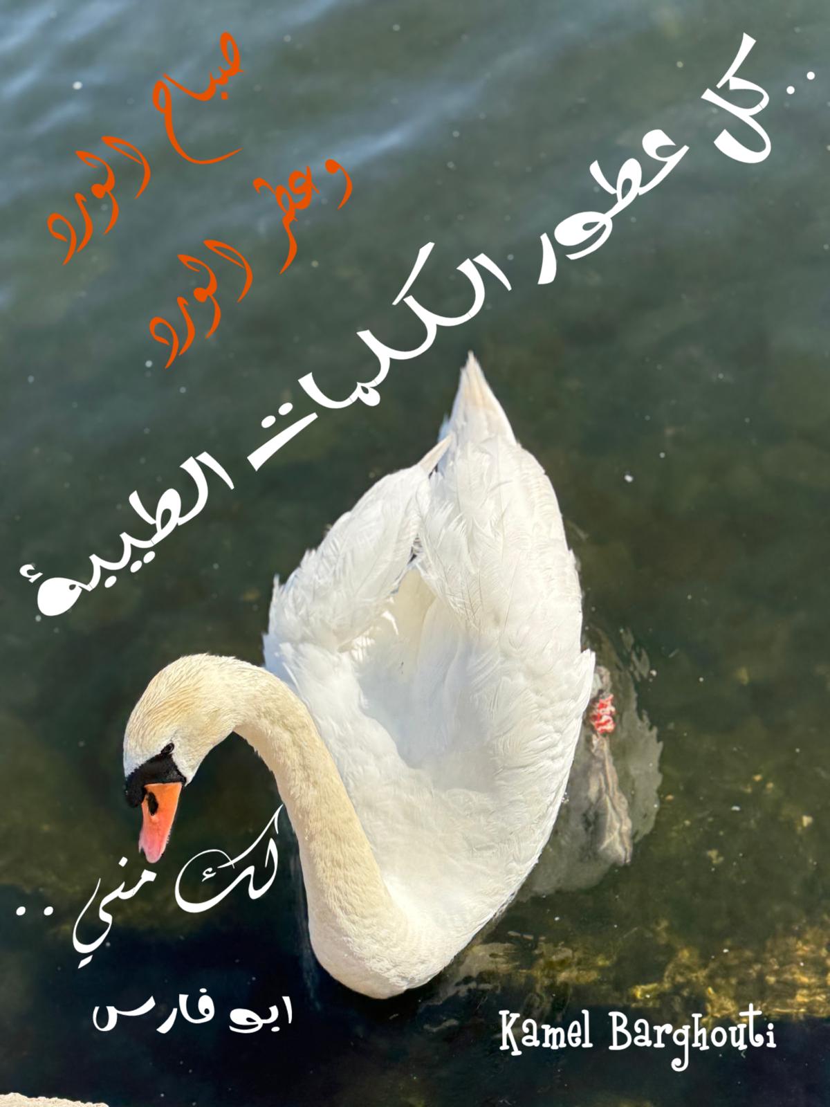 Good Morning – quote 64