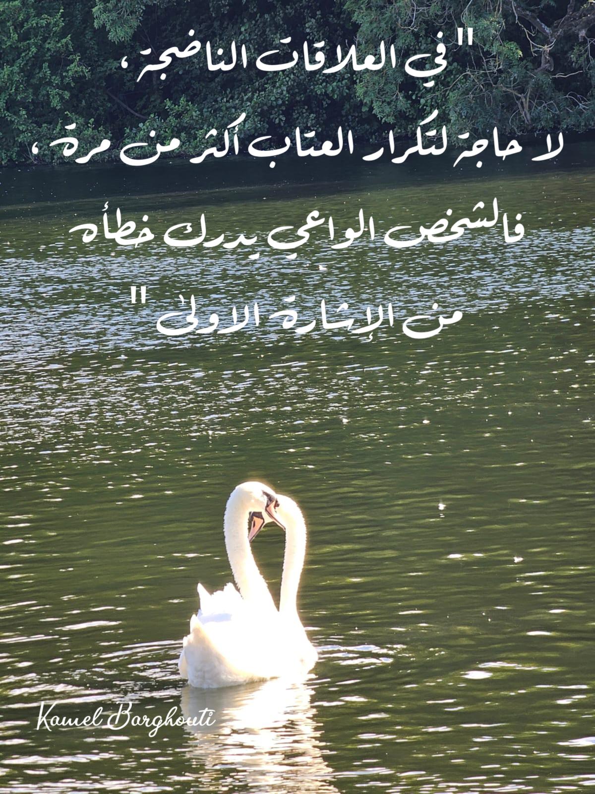 Good Morning – quote 48