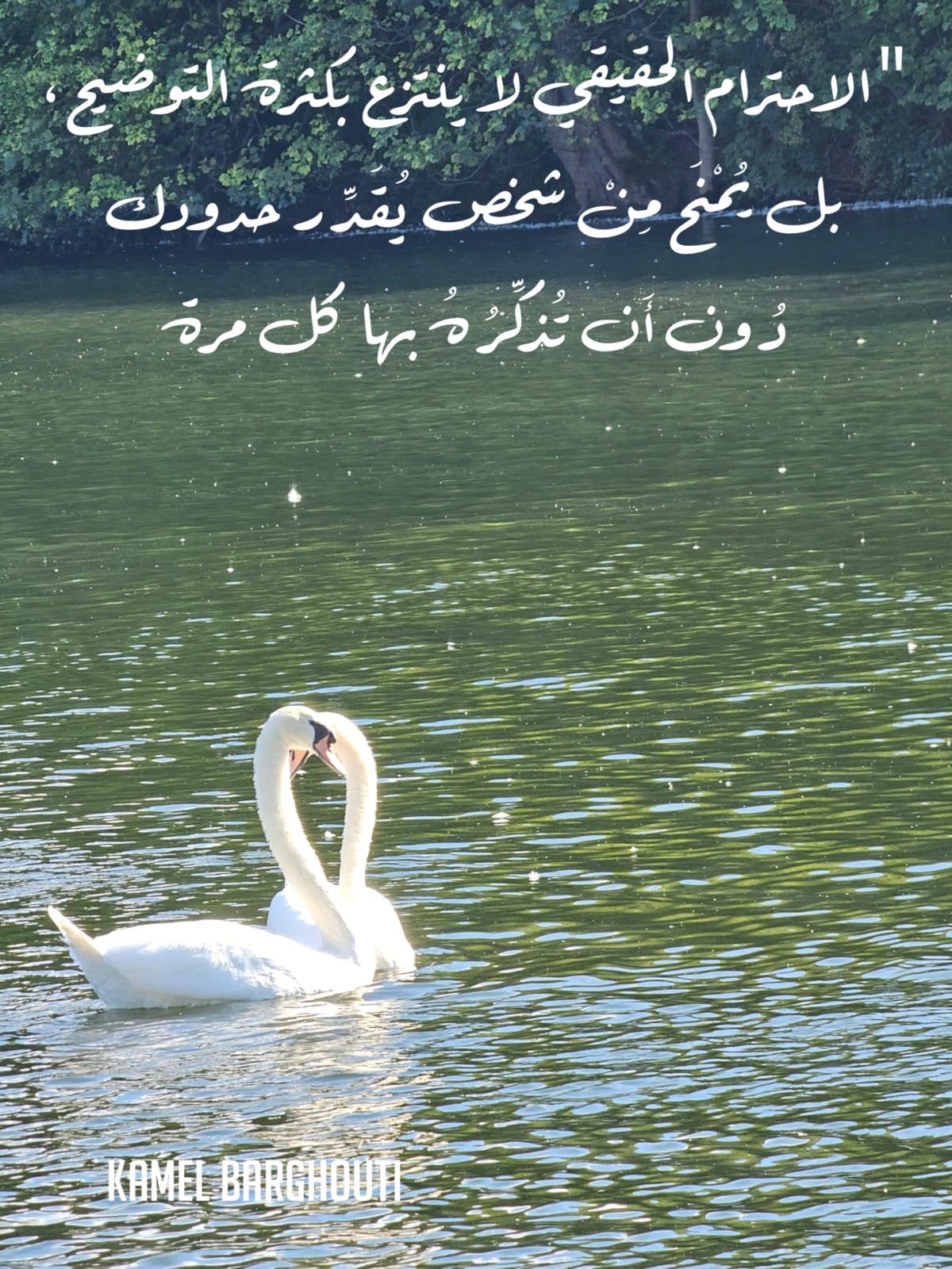 Good Morning – quote 50