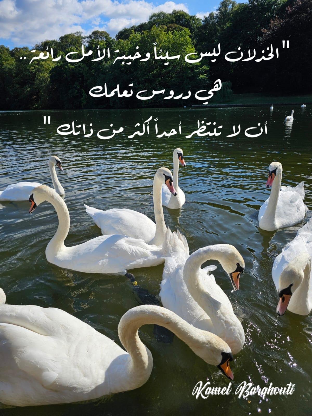 Good Morning – quote 38