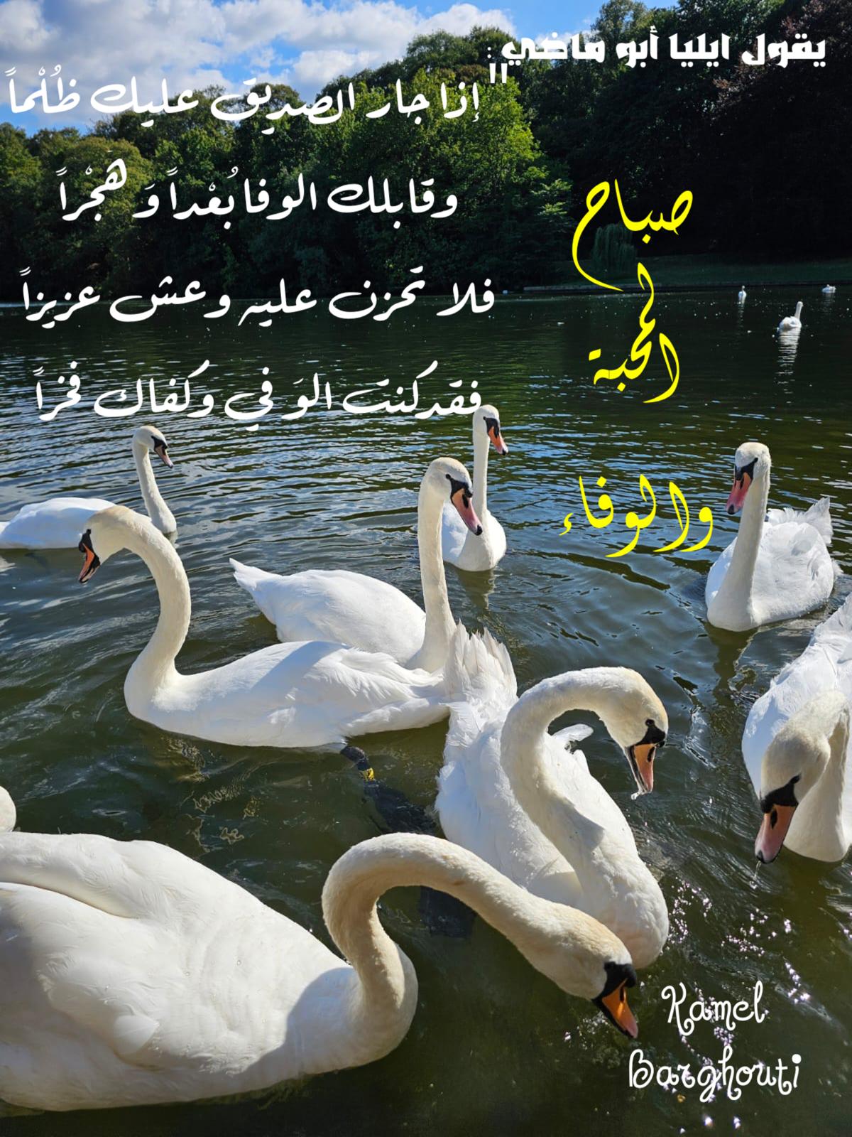 Good Morning – quote 40