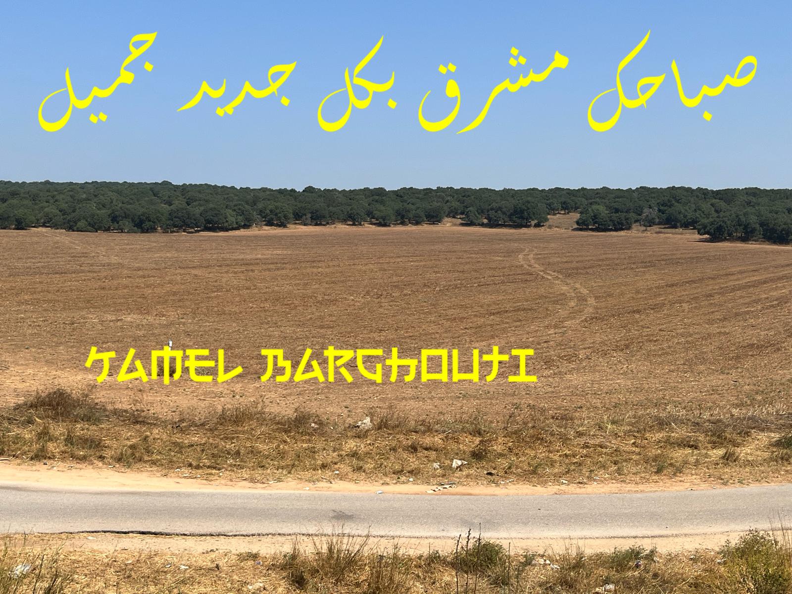 Good Morning – quote 46