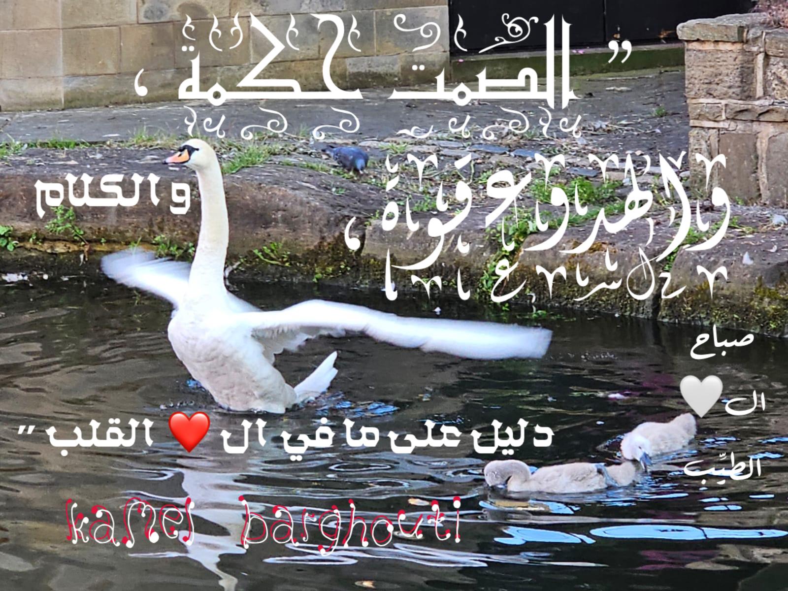 Good Morning – quote 41