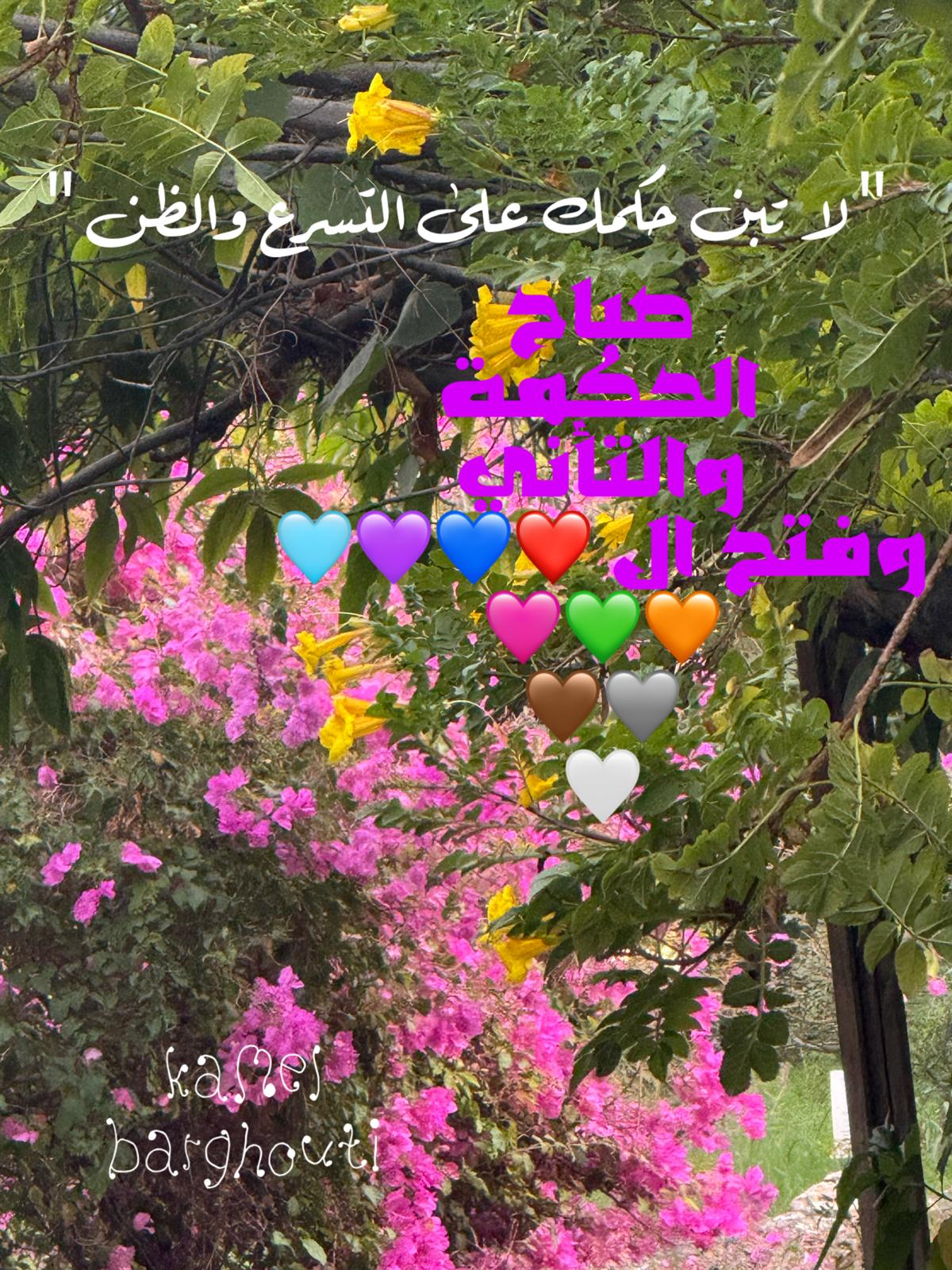 Good Morning – quote 16
