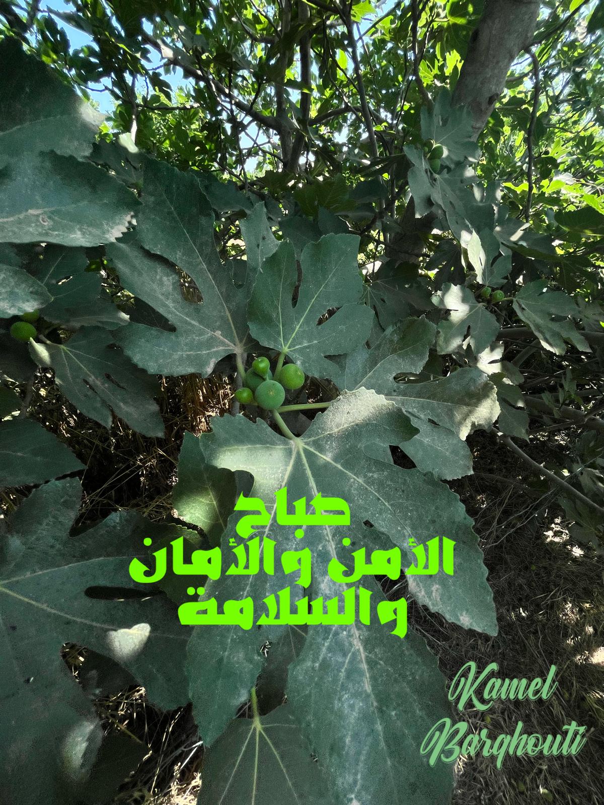 Good Morning – quote 17