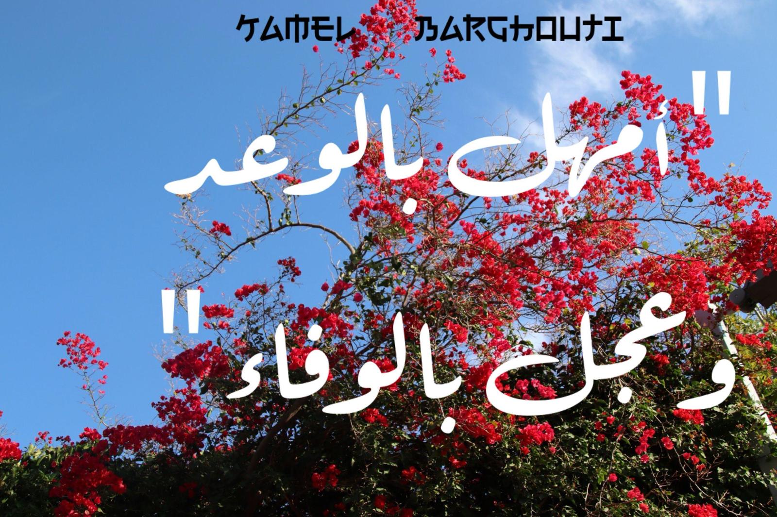 Truth, Justice and Honesty – quote 51