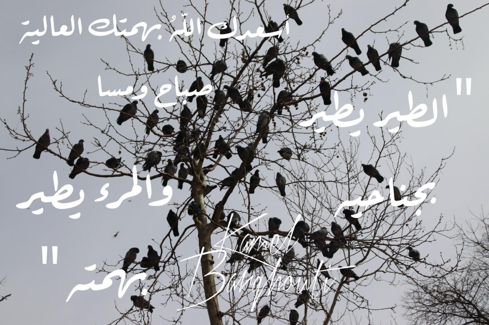 ברכות ואיחולים – ציטוט 6